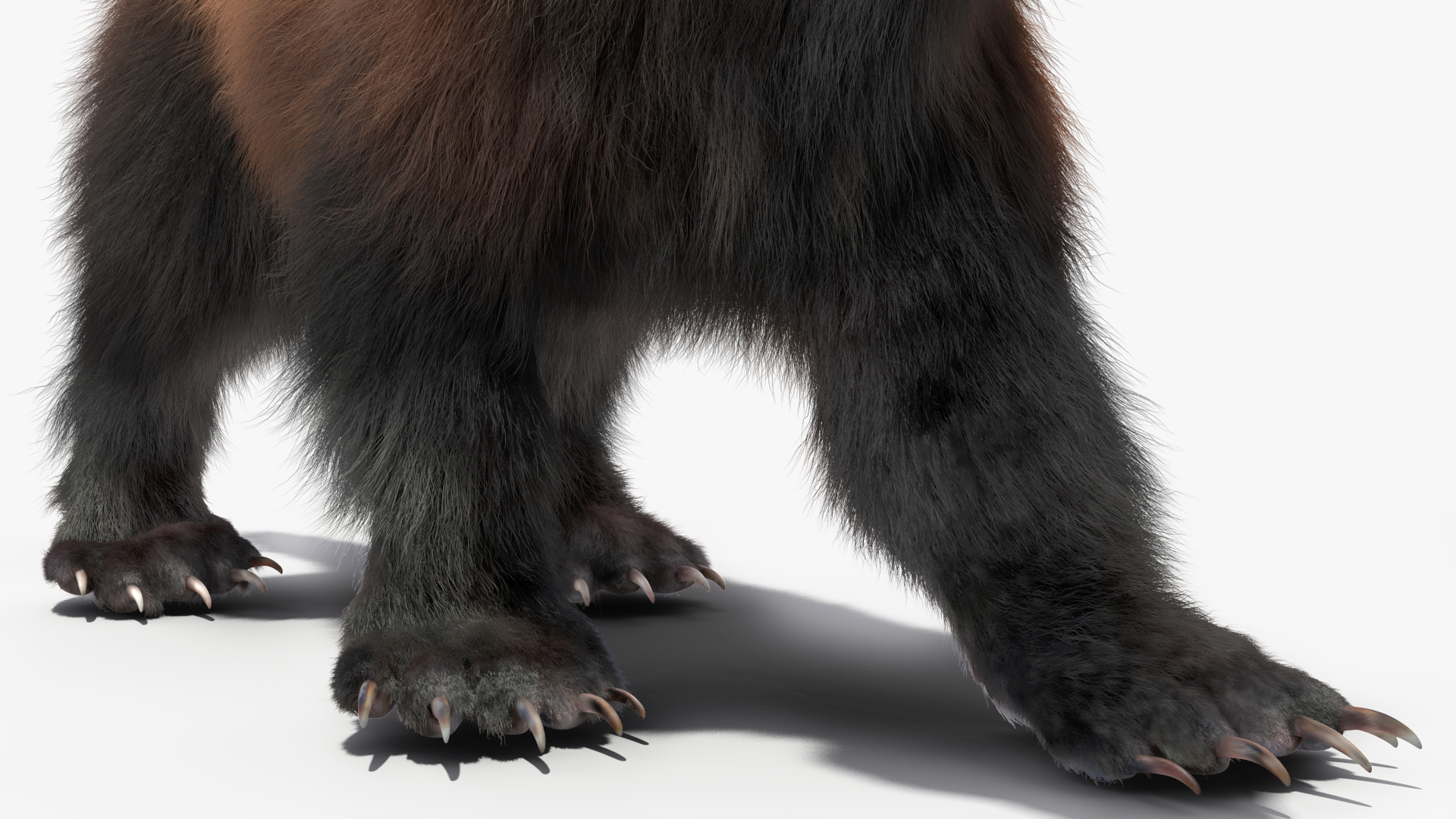 Wolverine Dark Color Walking Pose Fur 3D