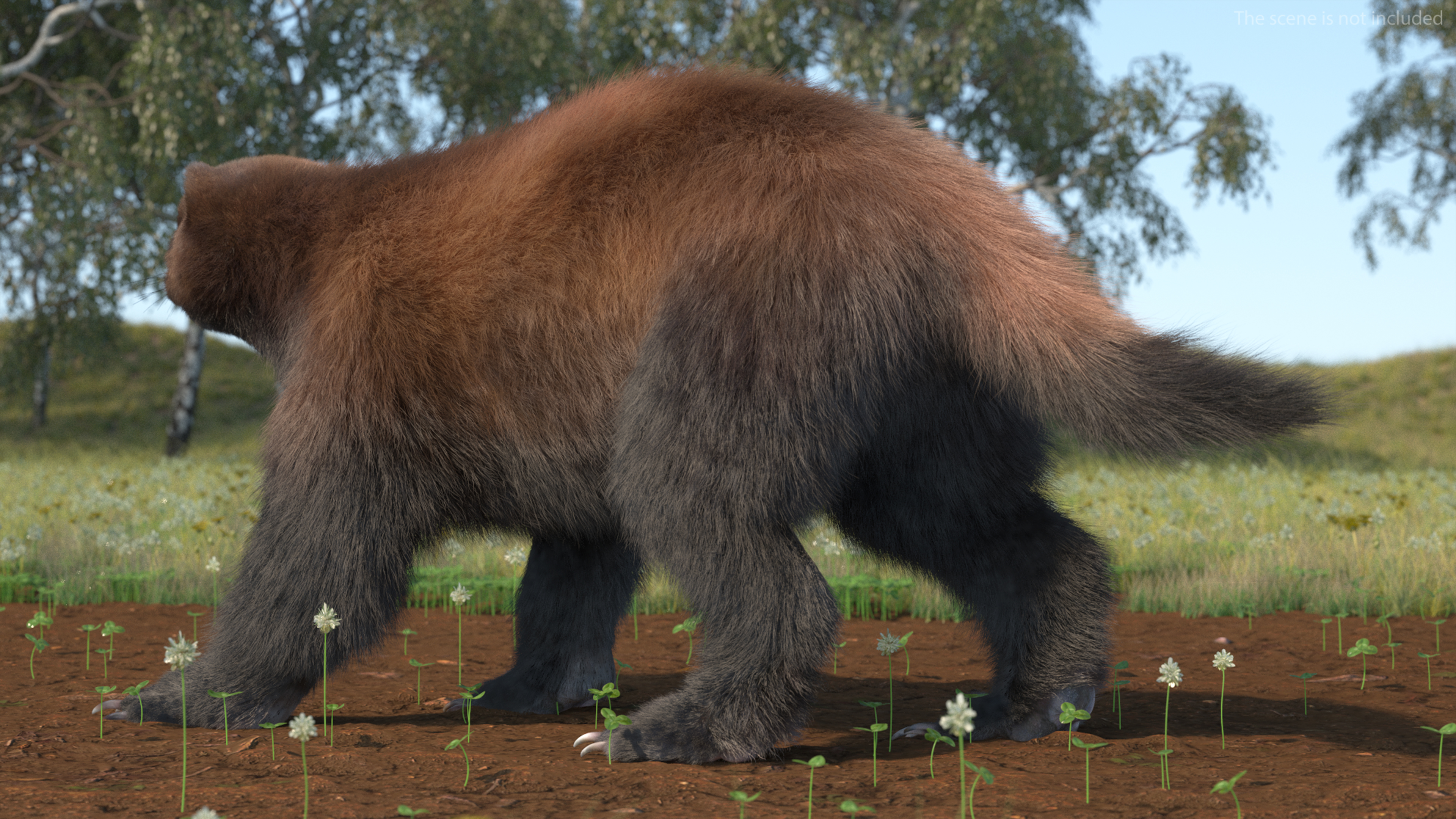 Wolverine Dark Color Walking Pose Fur 3D