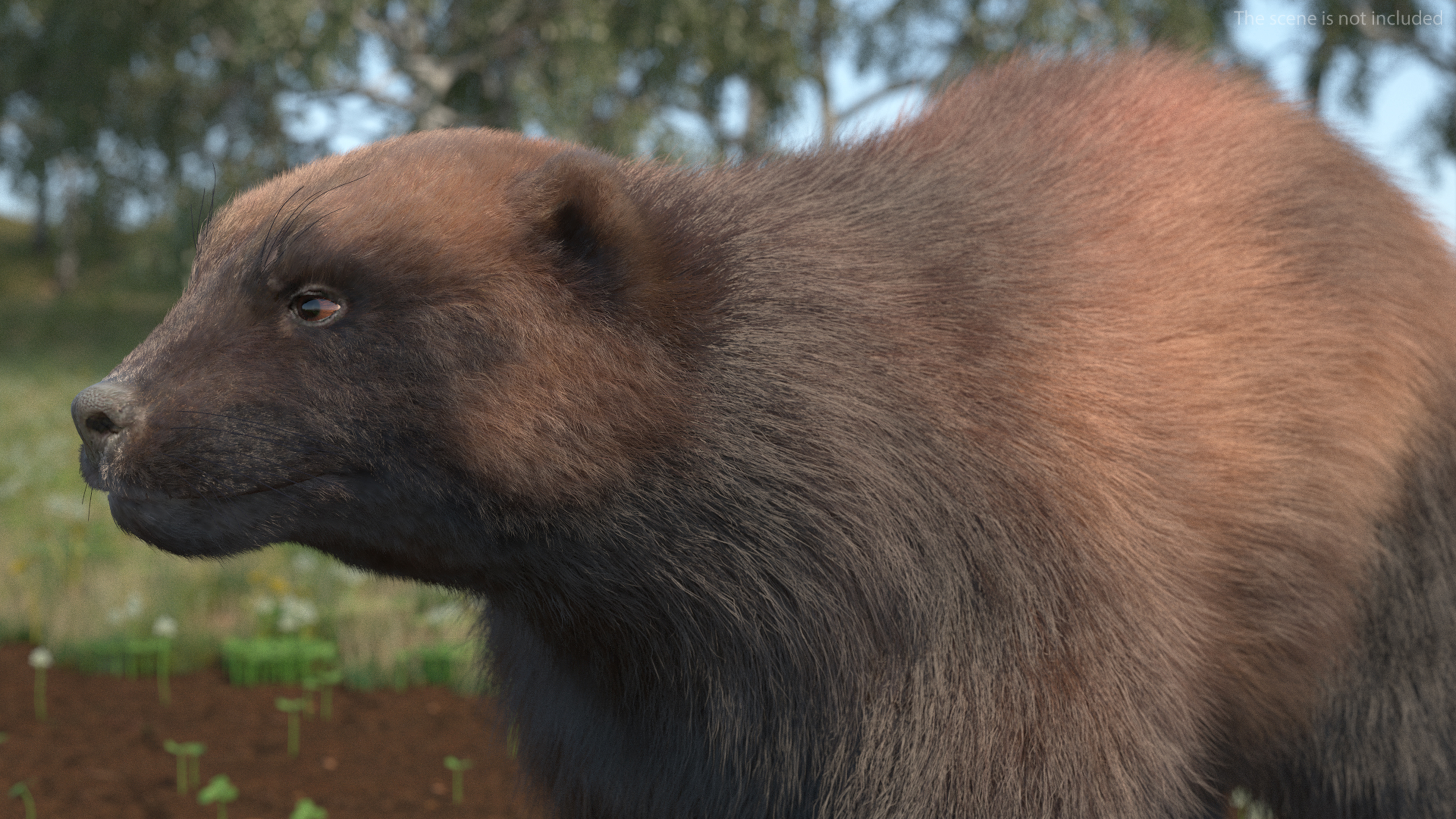 Wolverine Dark Color Walking Pose Fur 3D