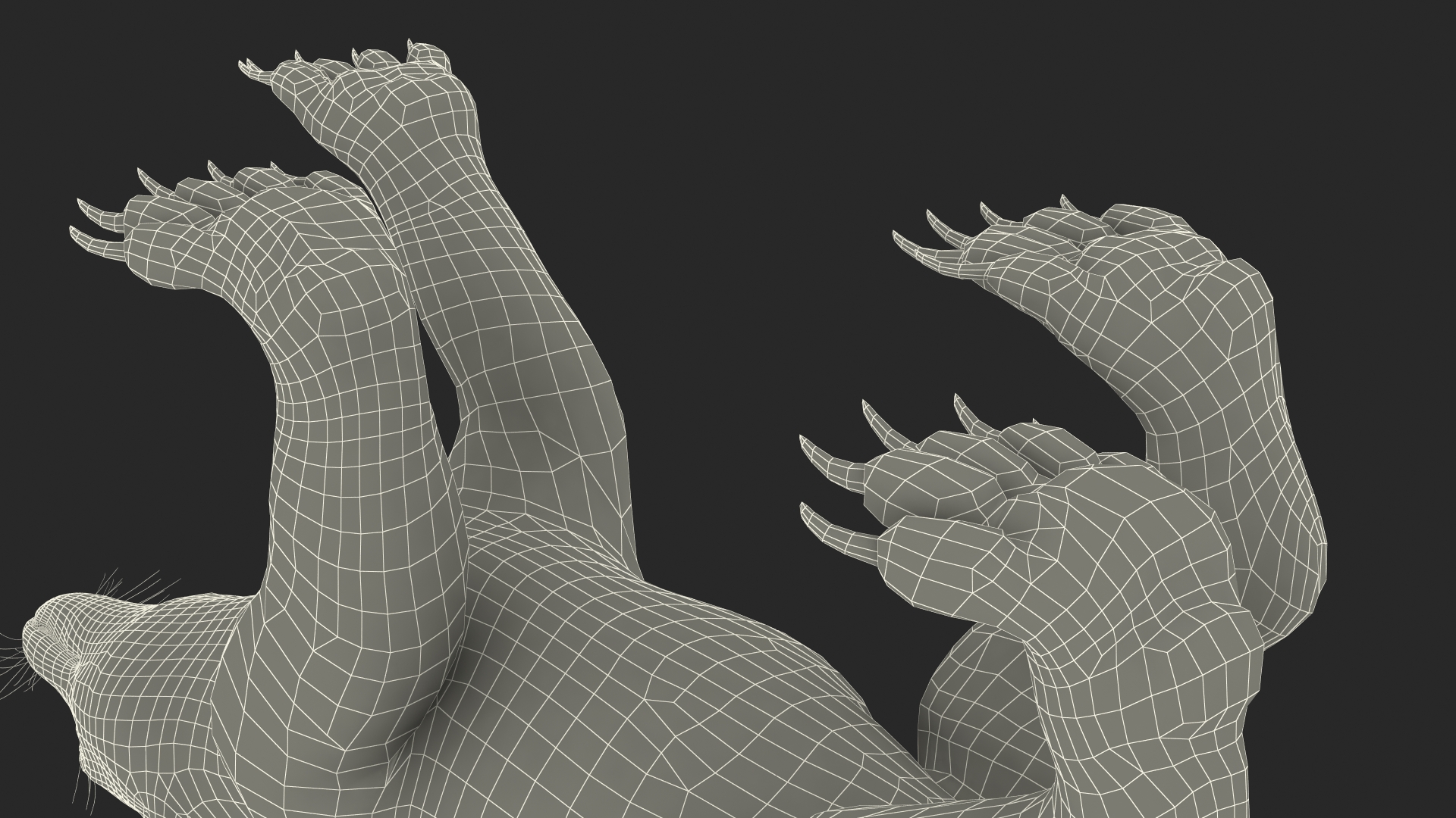 Wolverine Dark Color Walking Pose Fur 3D
