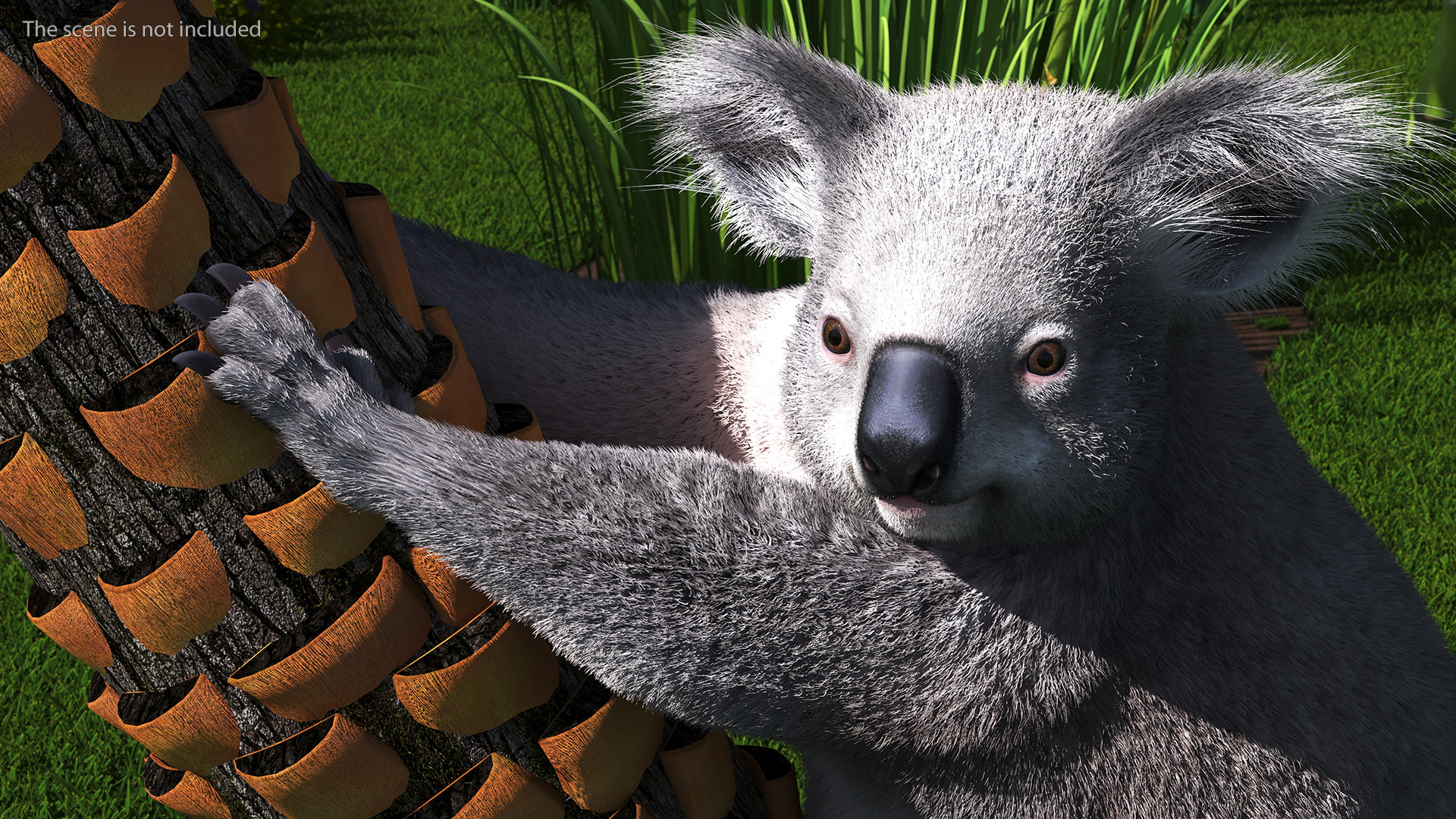 3D Koala Rigged Fur