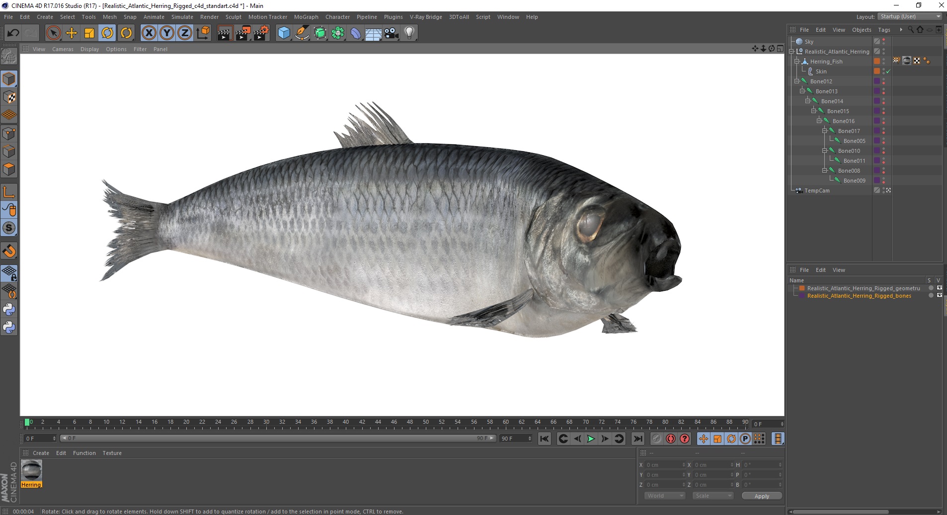 Realistic Atlantic Herring Rigged for Cinema 4D 3D