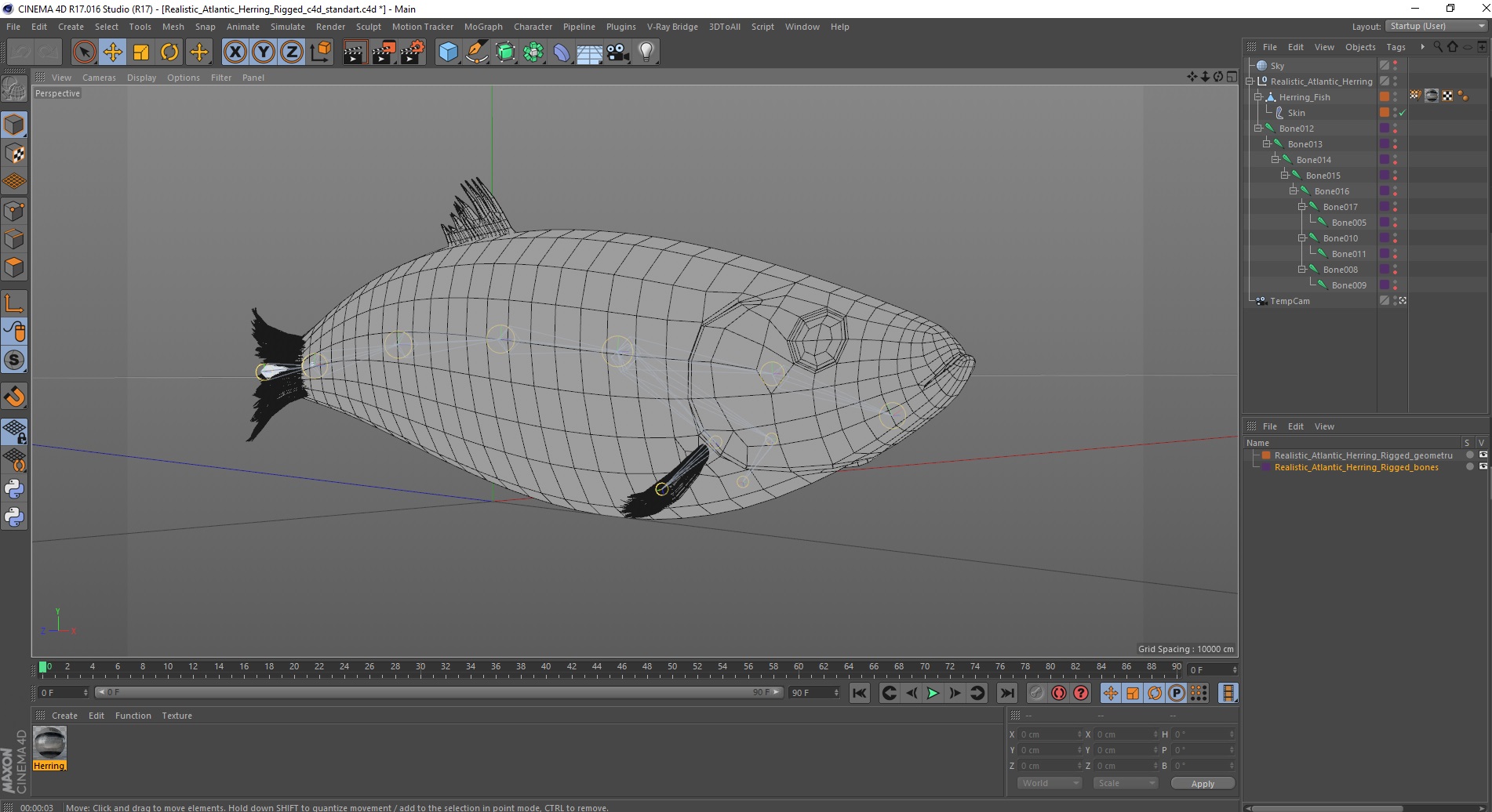 Realistic Atlantic Herring Rigged for Cinema 4D 3D