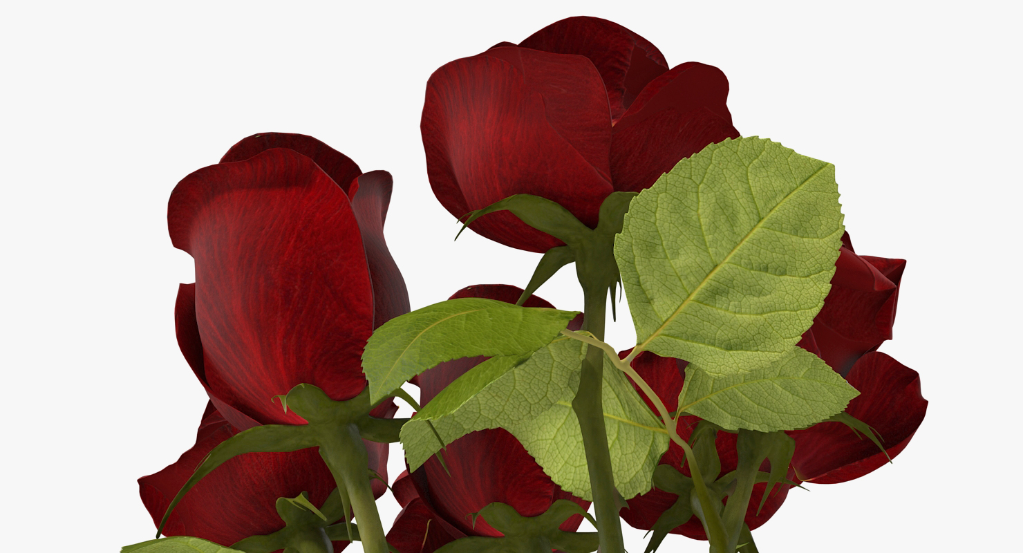 3D Bouquet of Roses