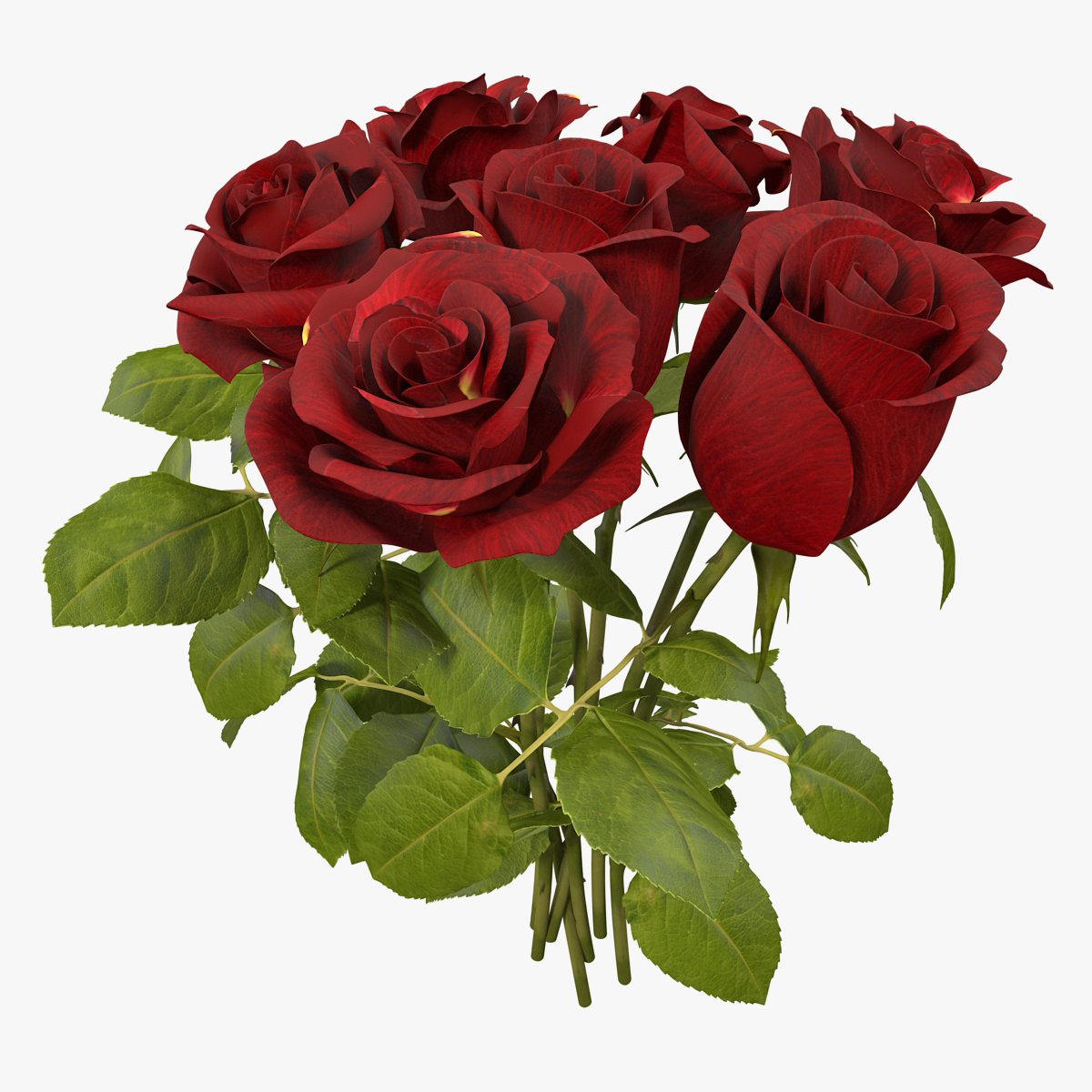 Bouquet of Roses