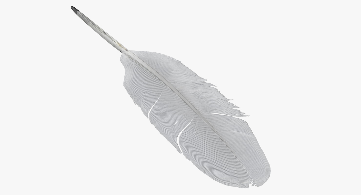 White Goose Feather 3D model