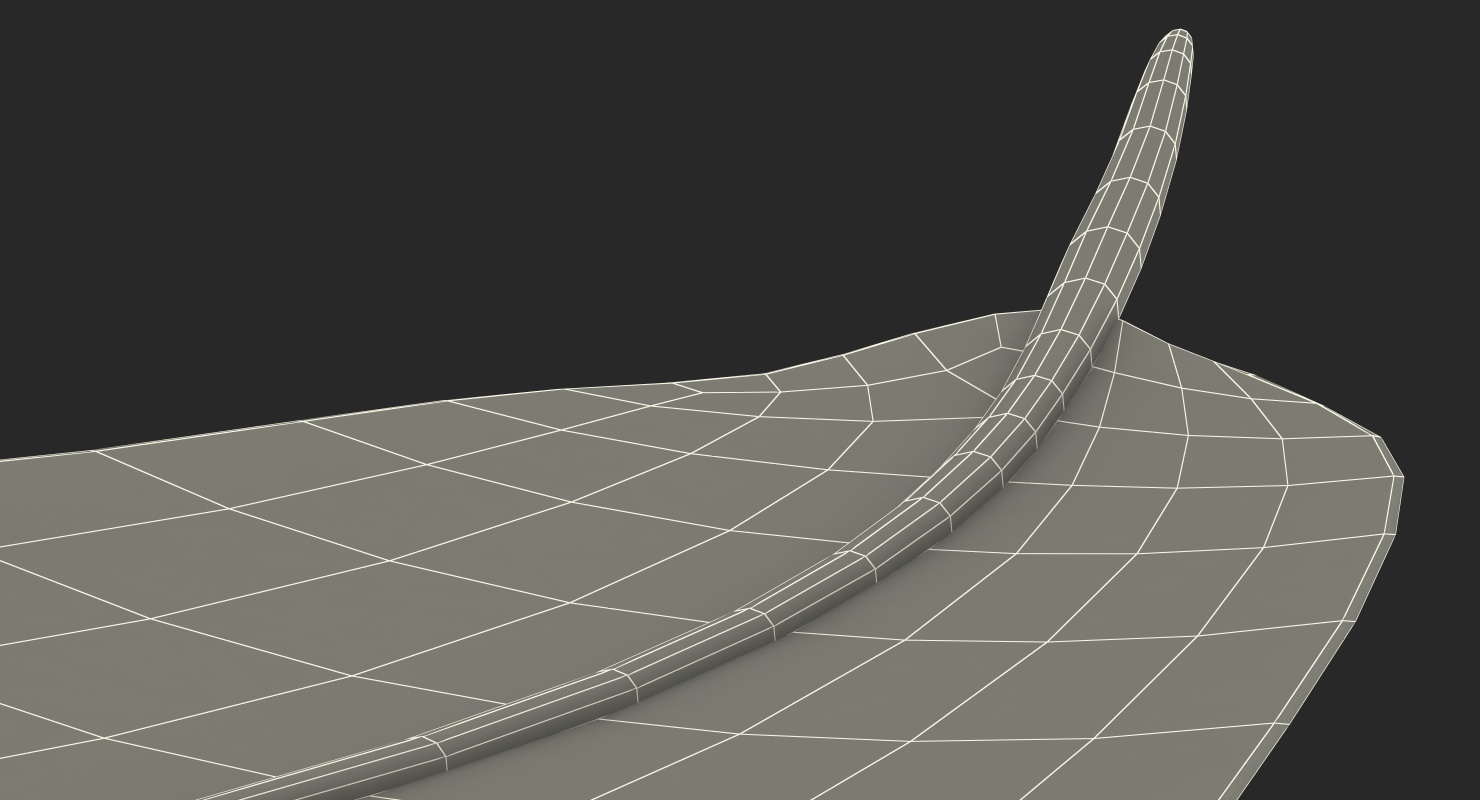 White Goose Feather 3D model