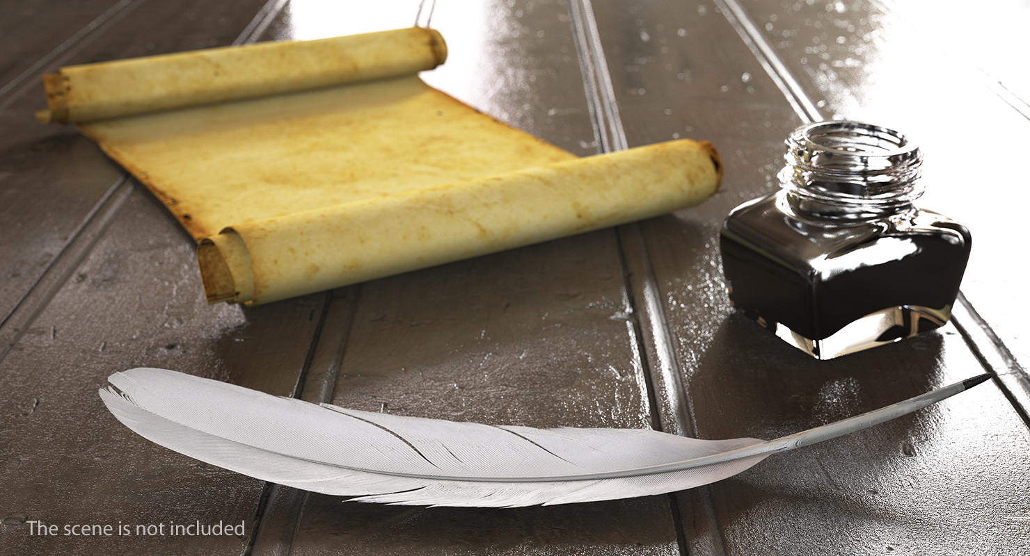 White Goose Feather 3D model