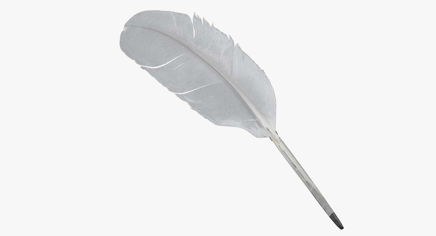 White Goose Feather 3D model