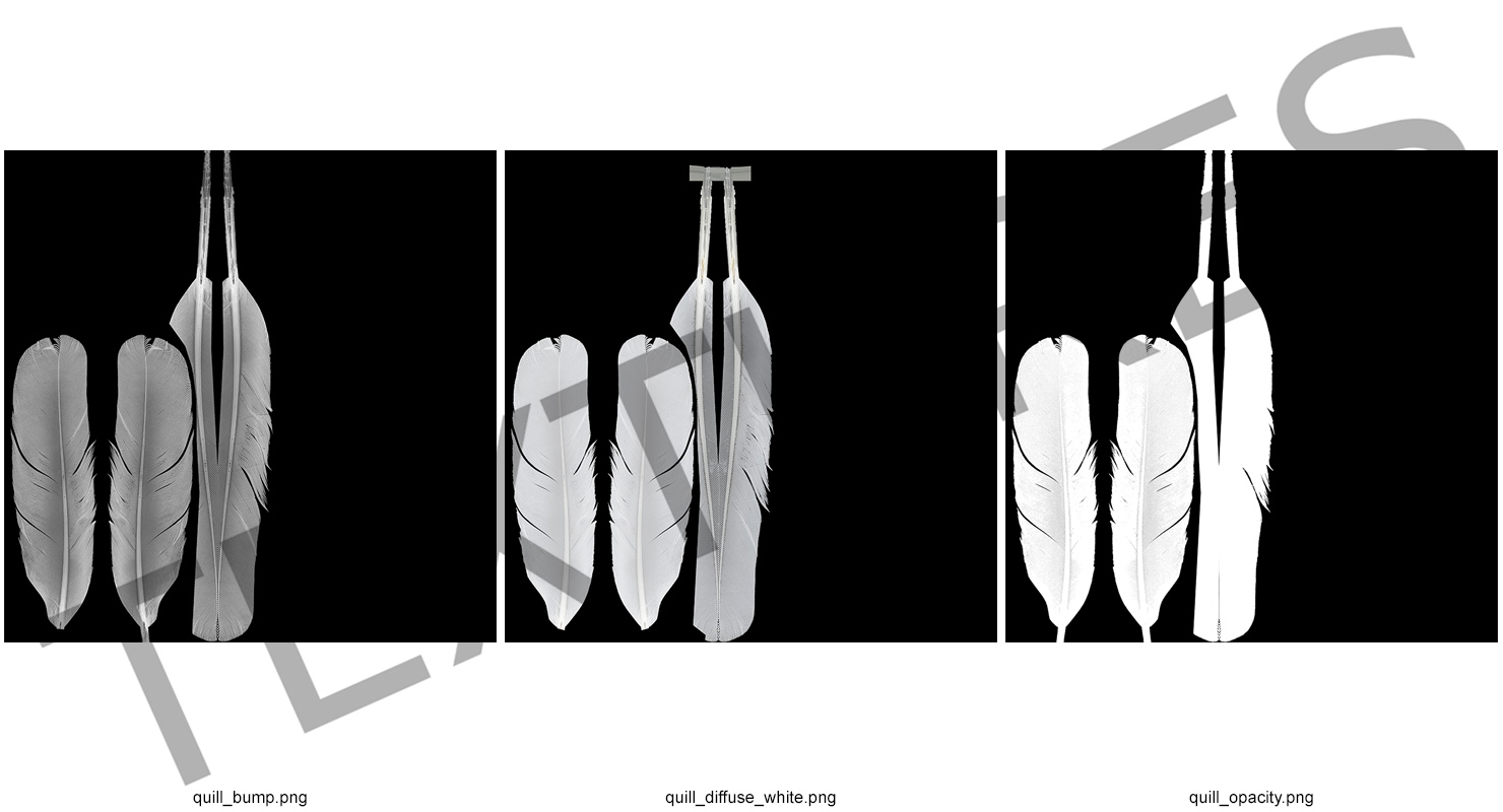 White Goose Feather 3D model