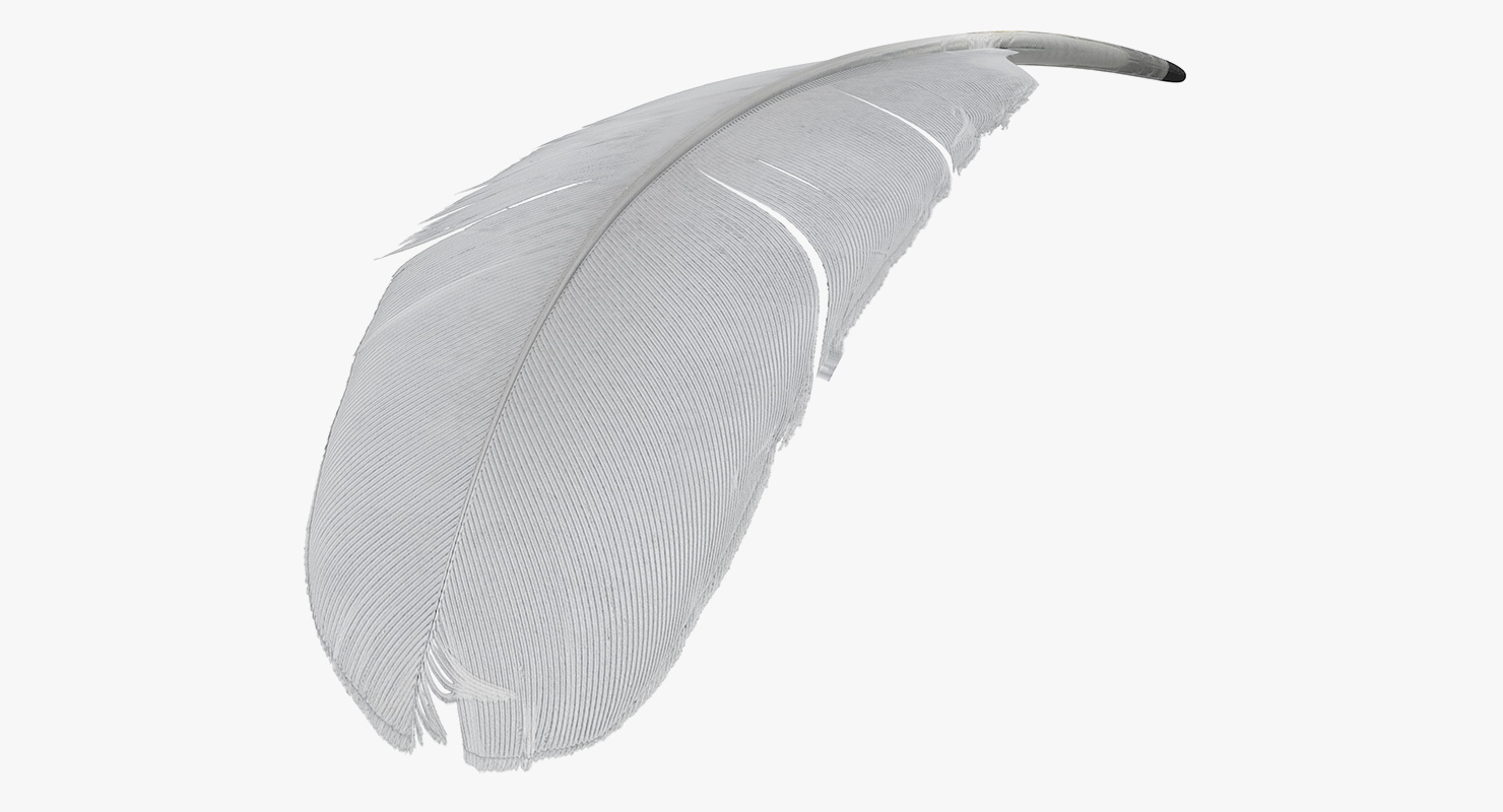 White Goose Feather 3D model