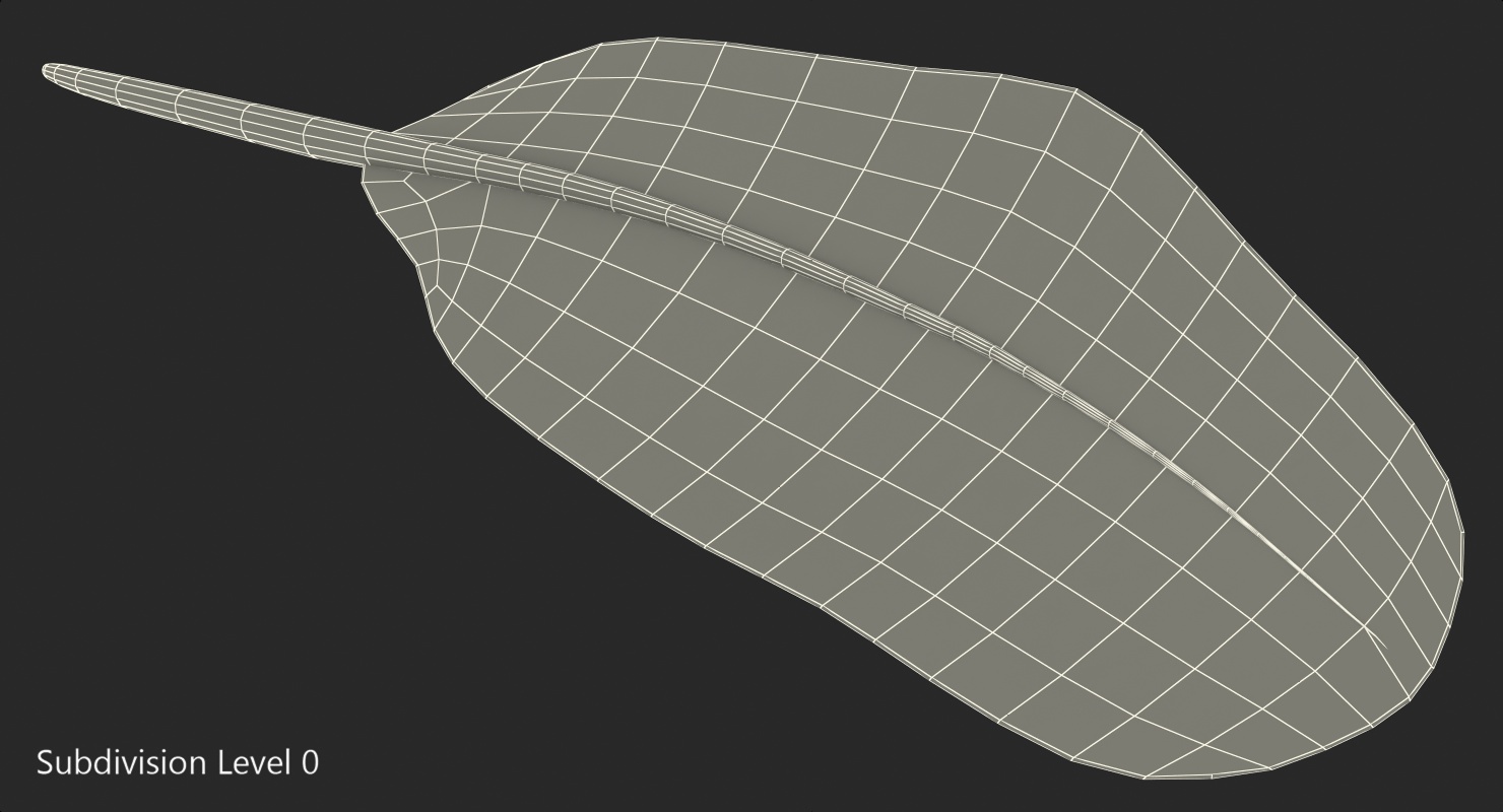 White Goose Feather 3D model