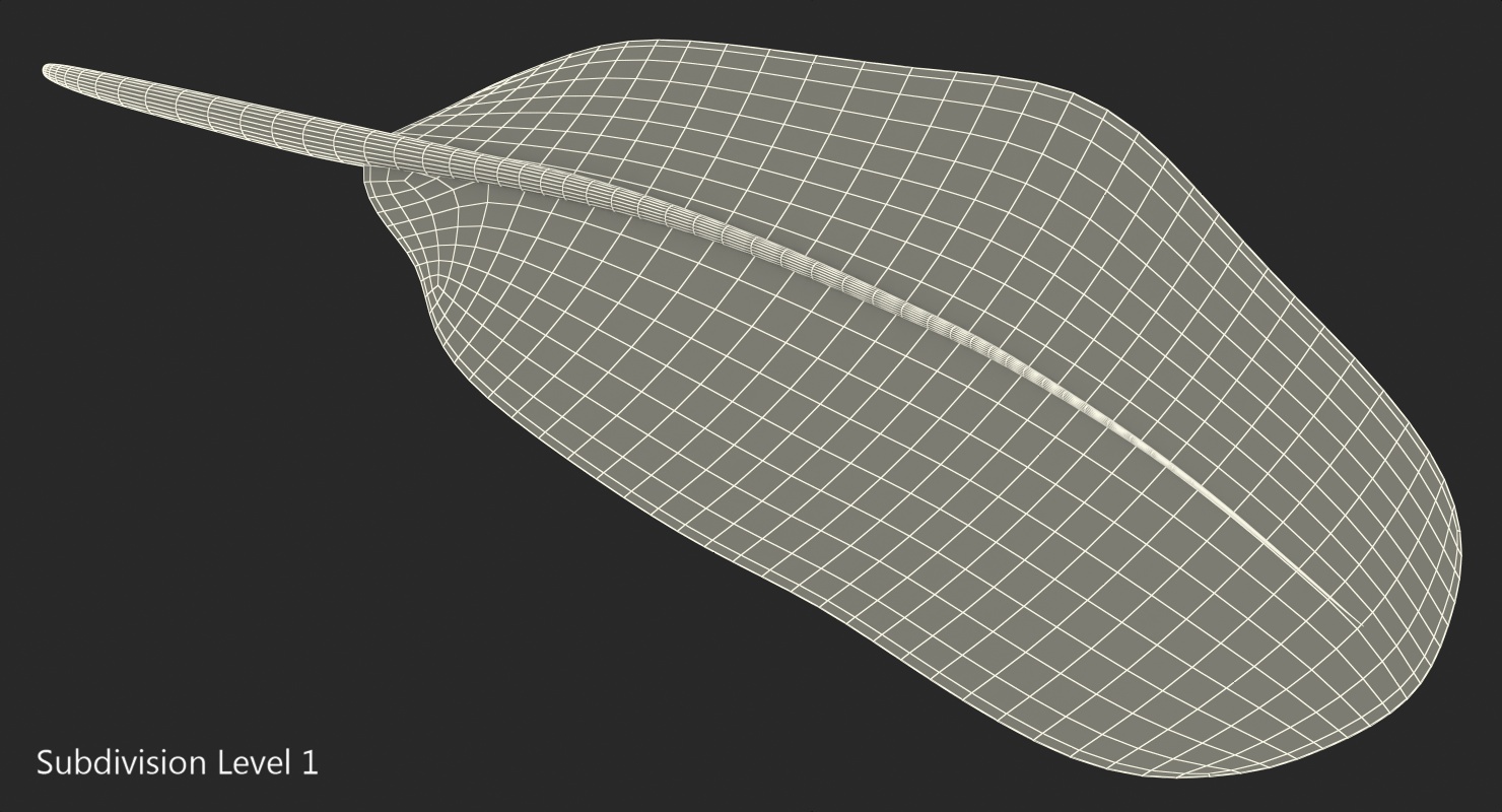 White Goose Feather 3D model