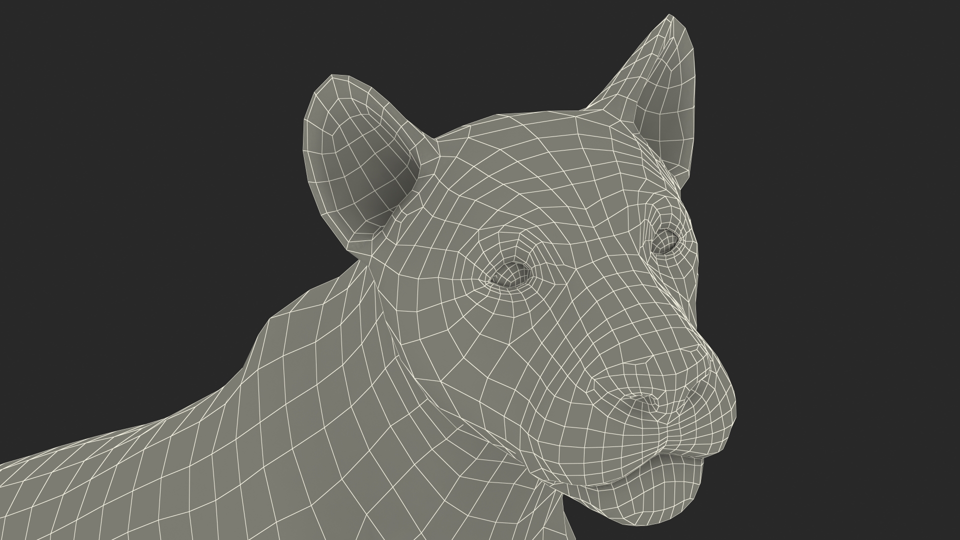 3D Young Lion Walking Pose model