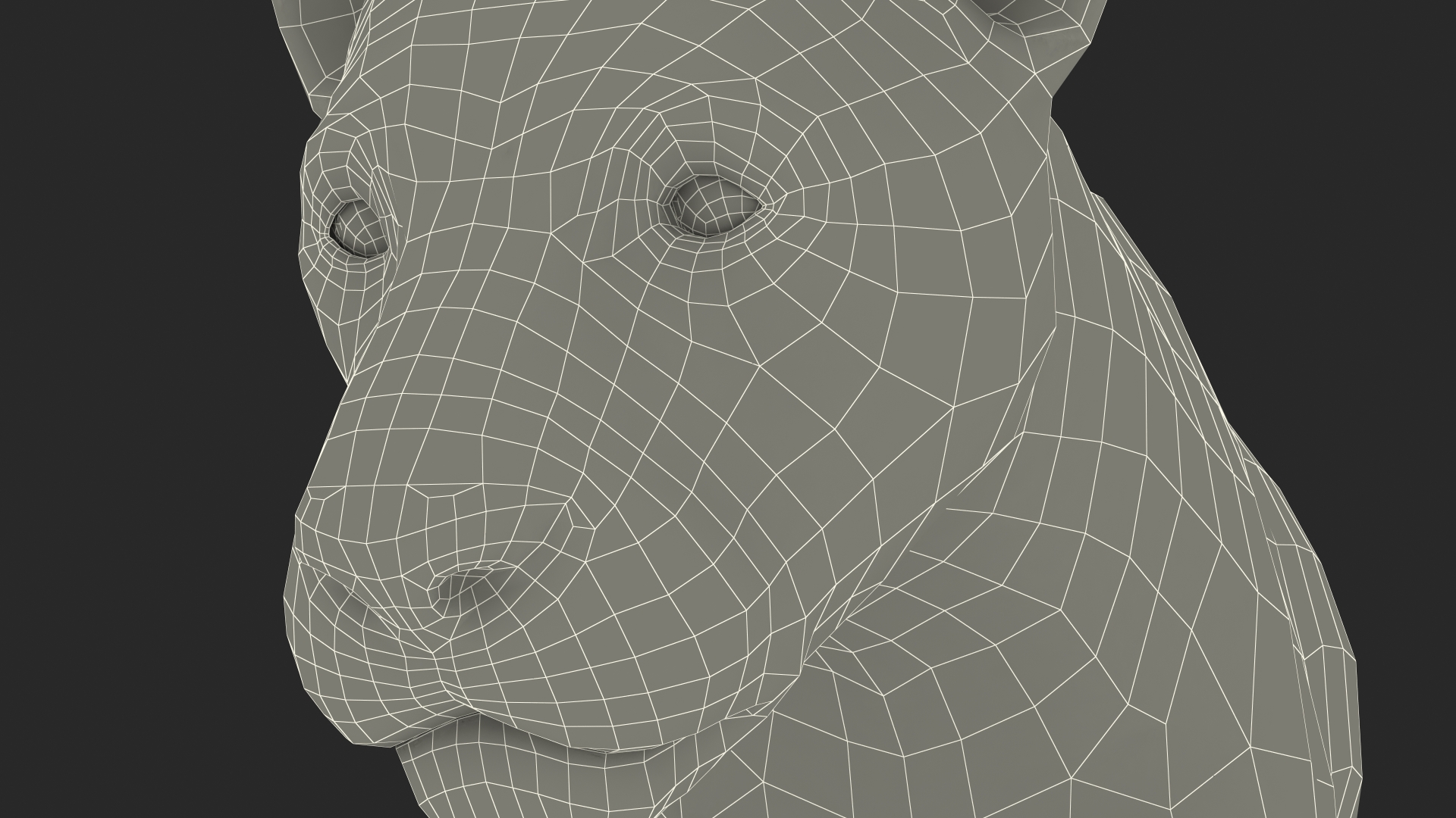 3D Young Lion Walking Pose model