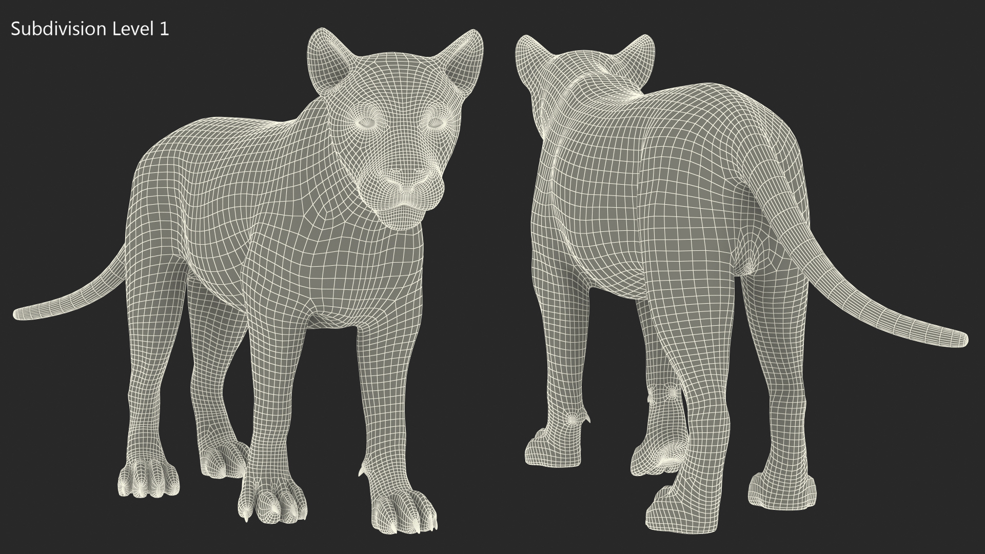 3D Young Lion Walking Pose model