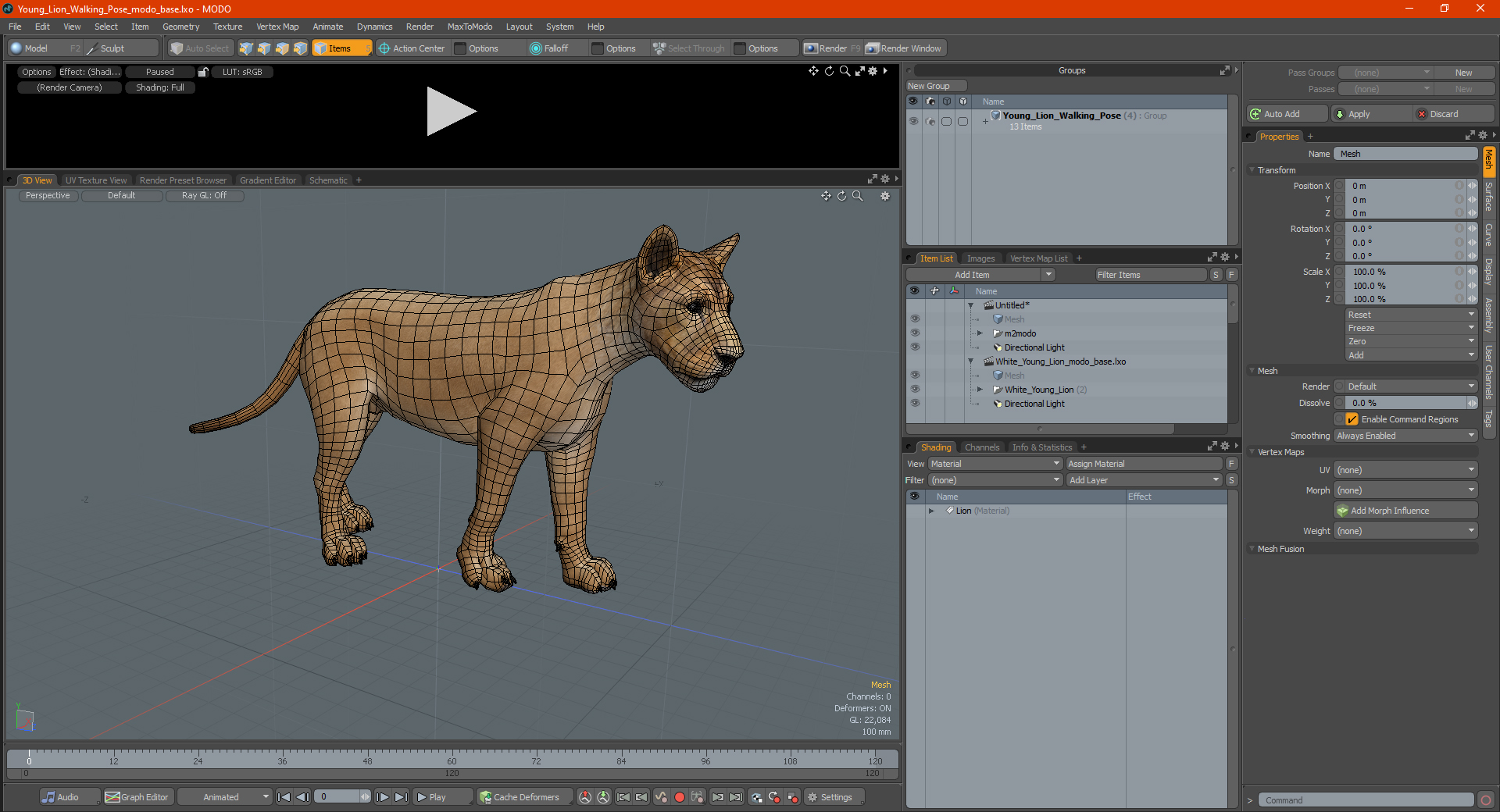 3D Young Lion Walking Pose model