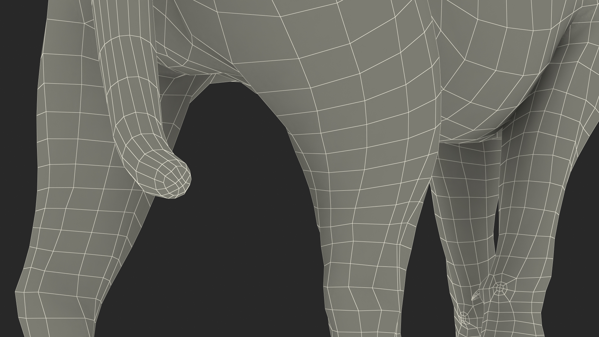 3D Young Lion Walking Pose model