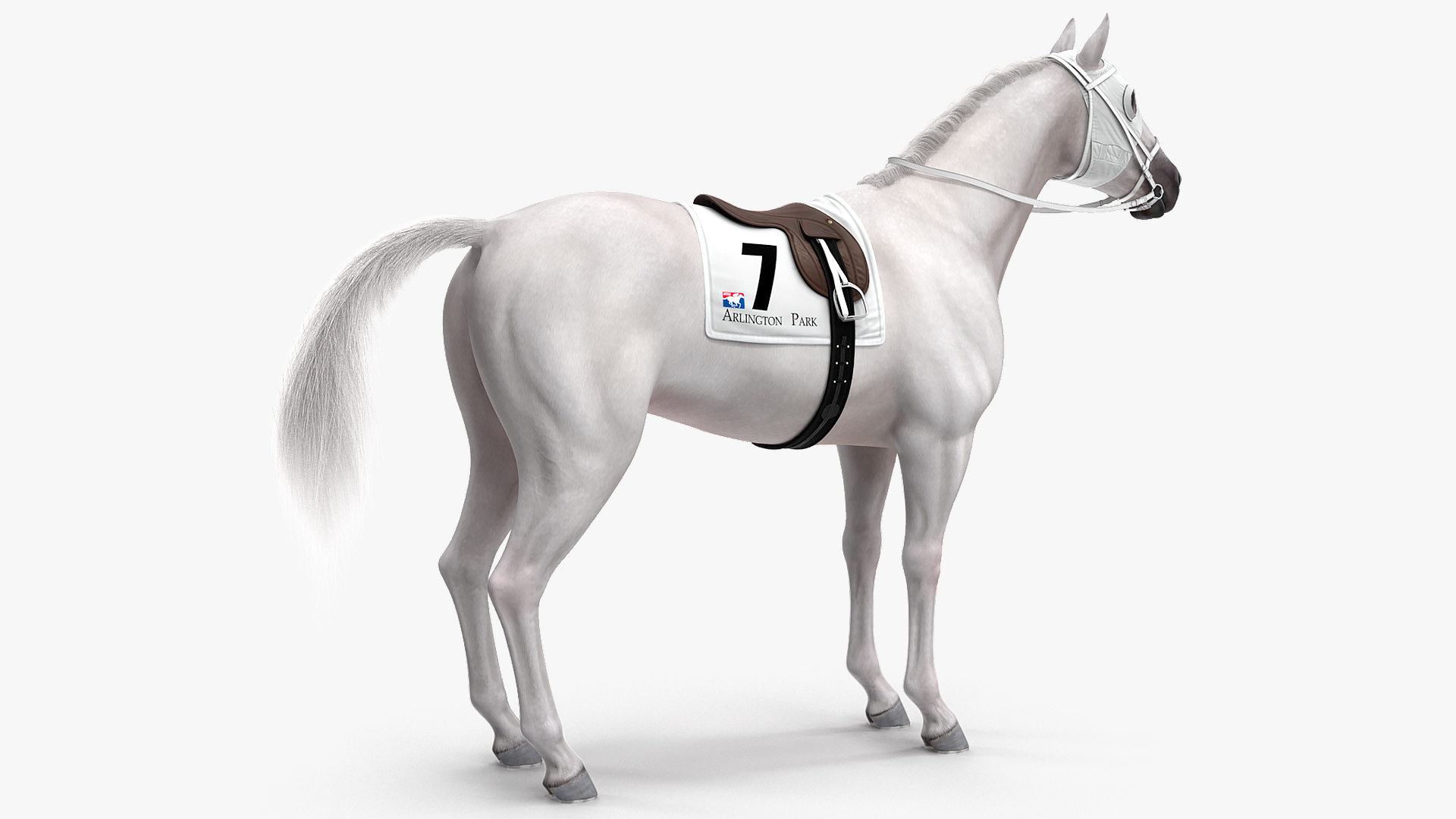 Racehorse White Fur 3D model
