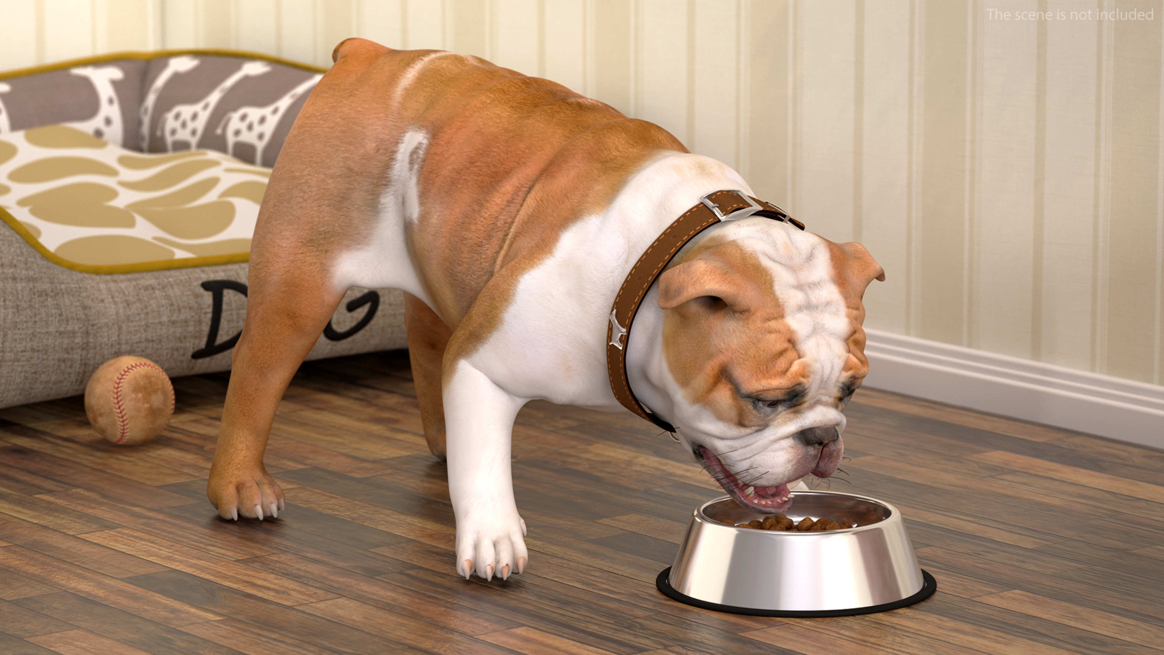 3D Bulldog Eats Out of the Bowl model