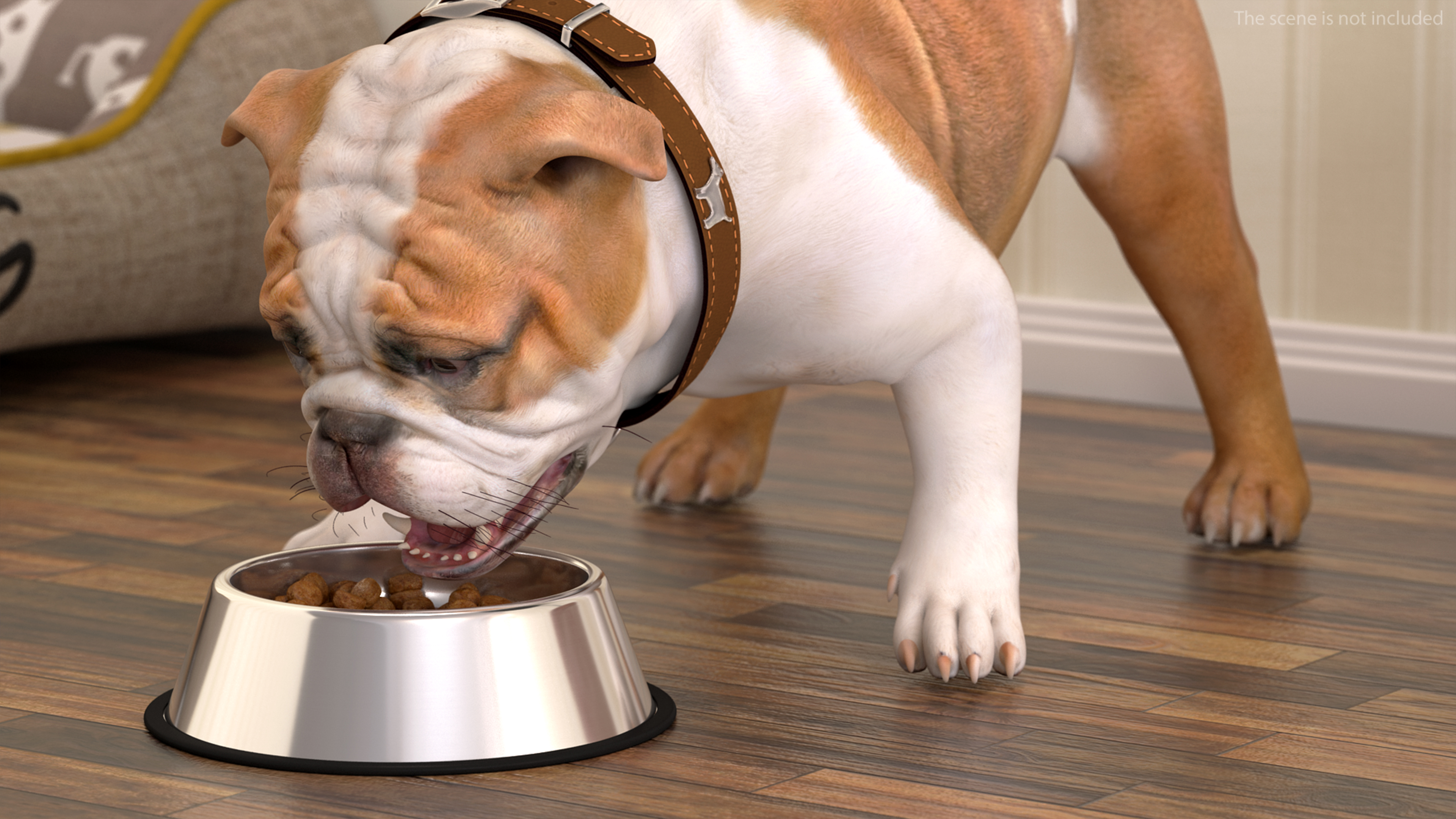 3D Bulldog Eats Out of the Bowl model