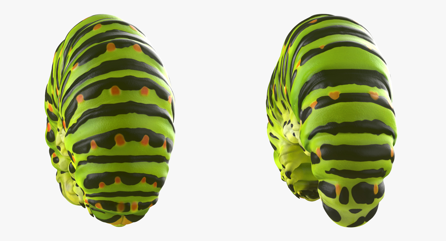 3D Caterpillar Pose 3 model