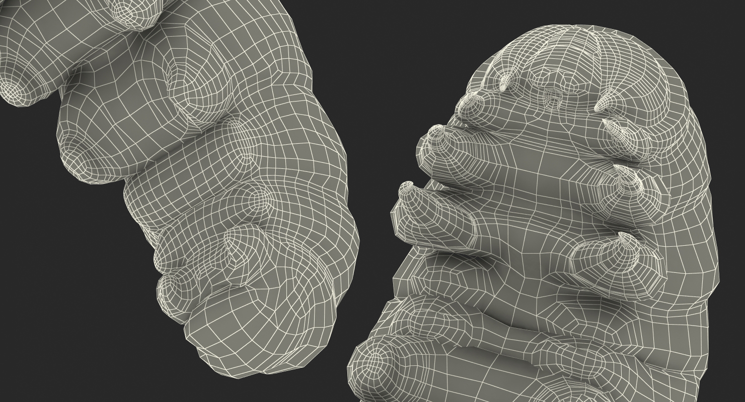 3D Caterpillar Pose 3 model