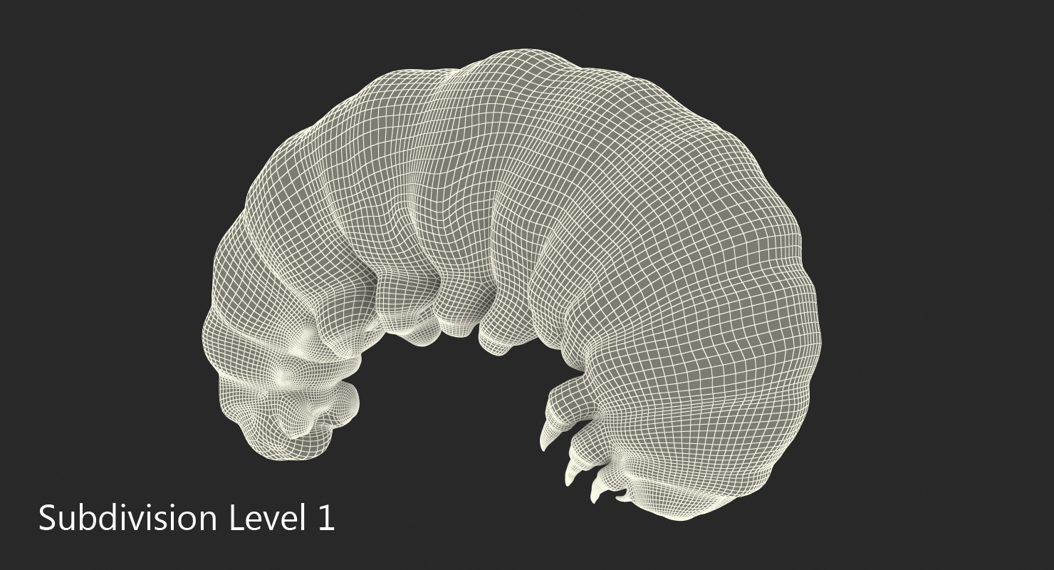 3D Caterpillar Pose 3 model