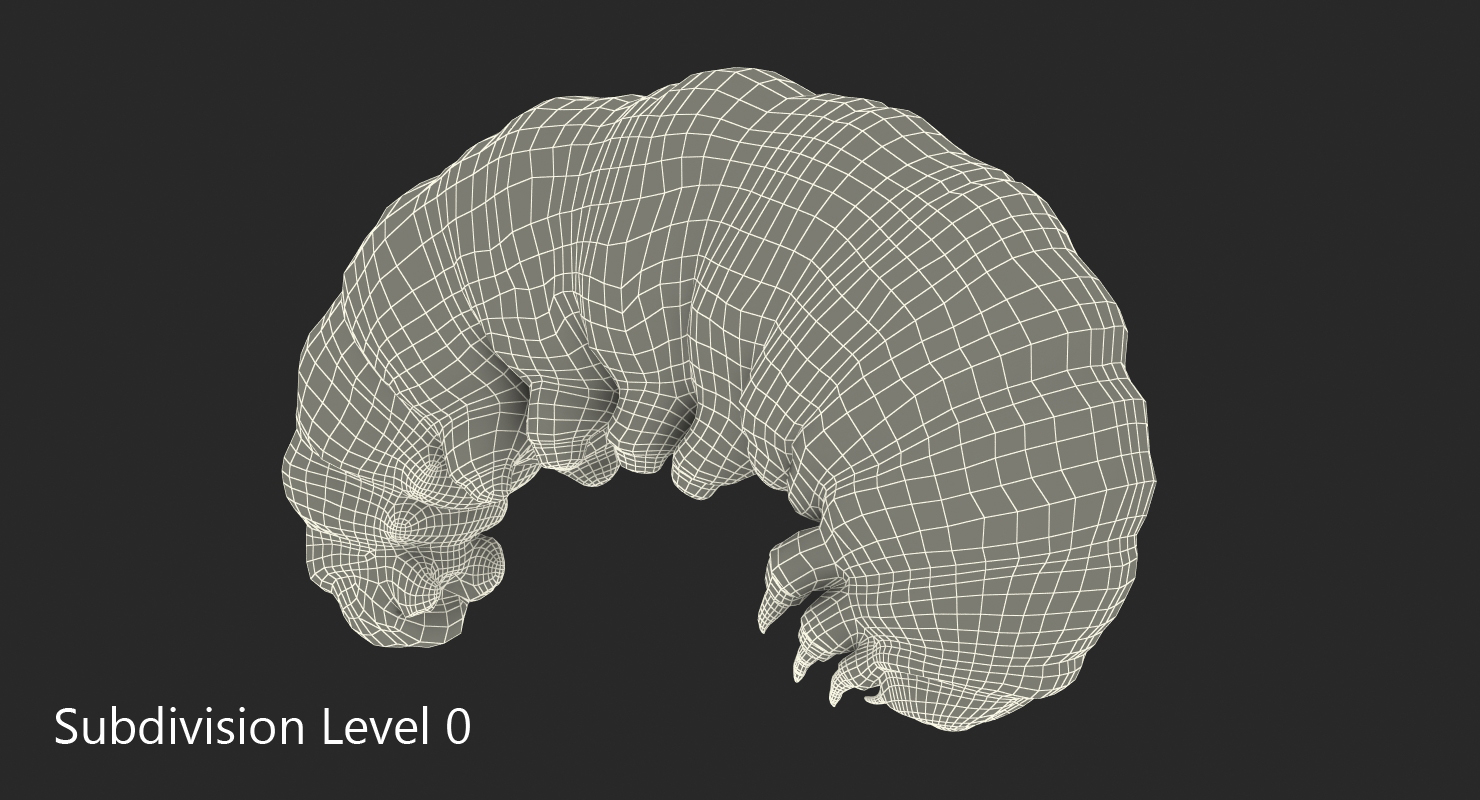 3D Caterpillar Pose 3 model