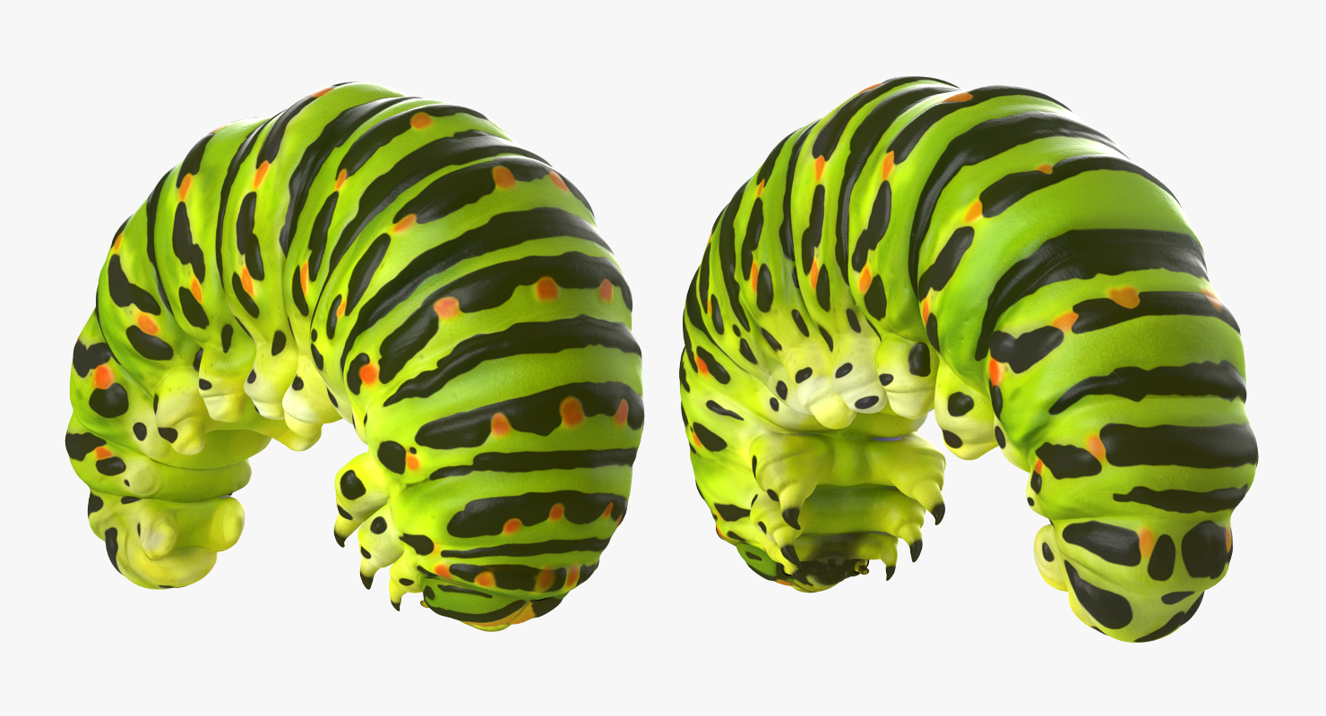 3D Caterpillar Pose 3 model