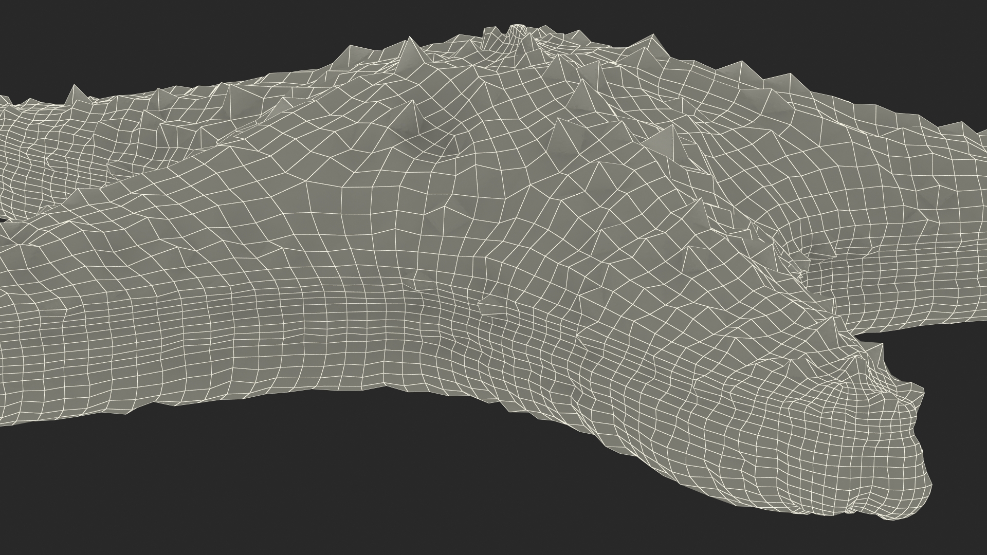 3D Realistic Starfish model