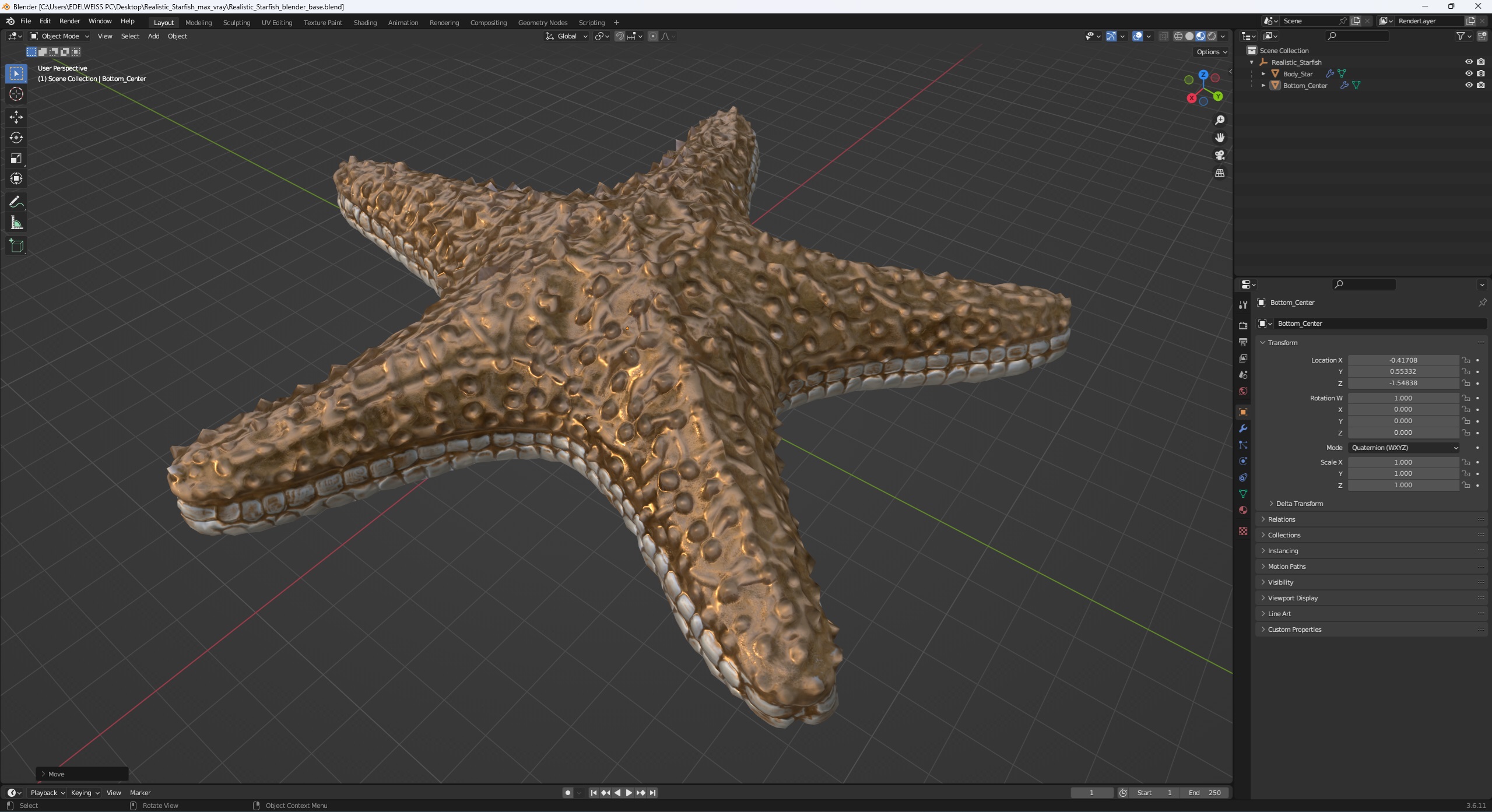 3D Realistic Starfish model