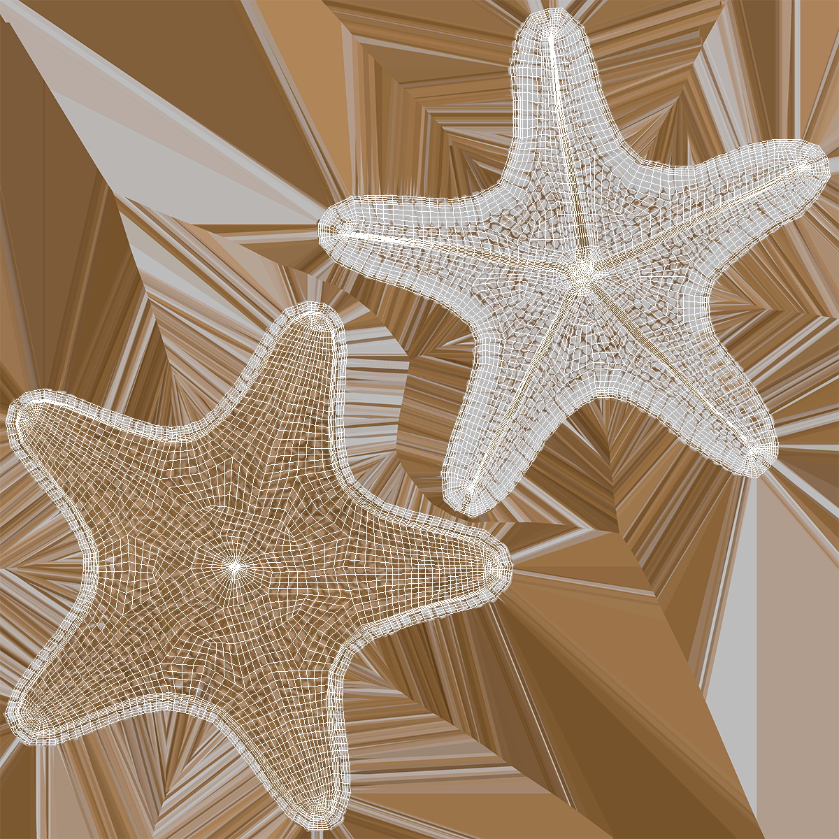 3D Realistic Starfish model