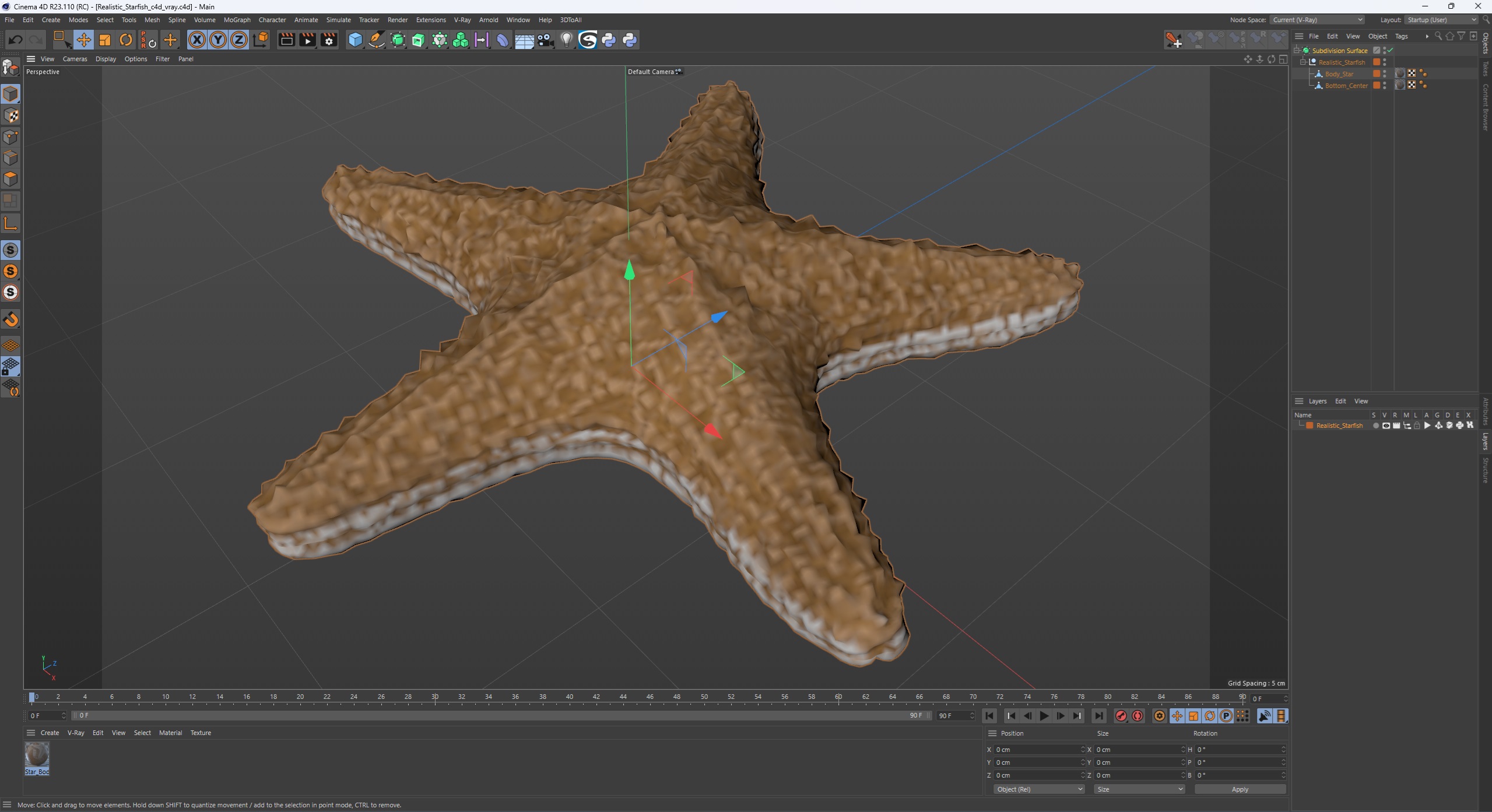 3D Realistic Starfish model