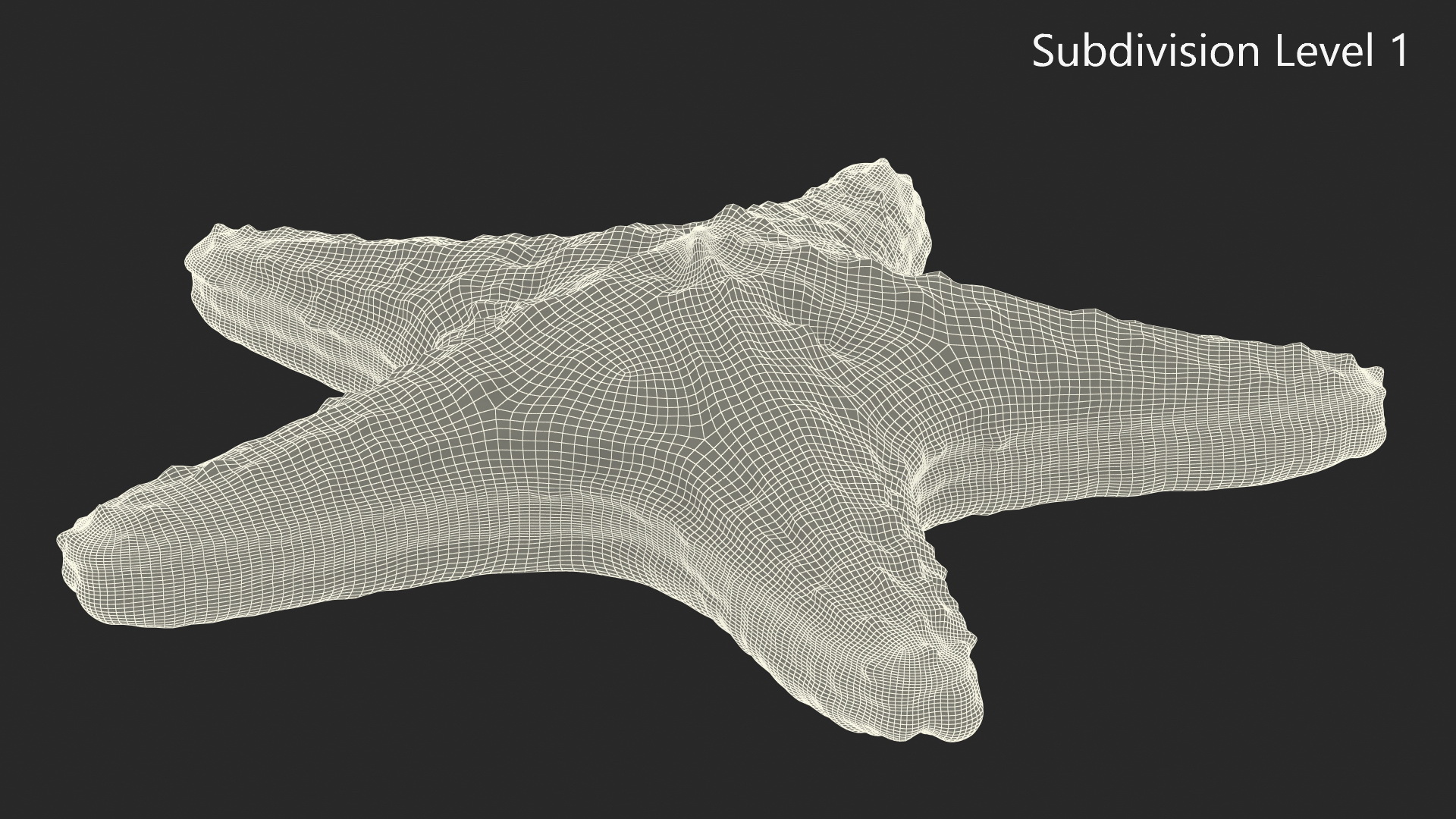 3D Realistic Starfish model