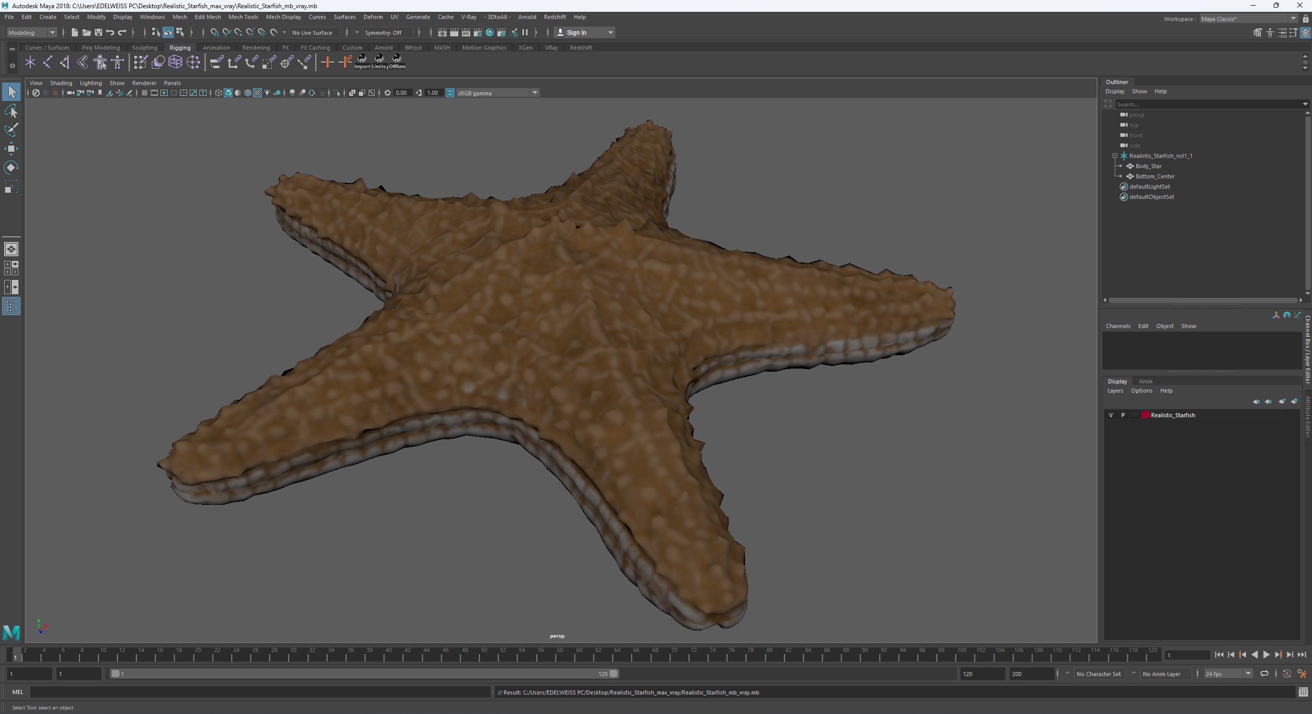 3D Realistic Starfish model