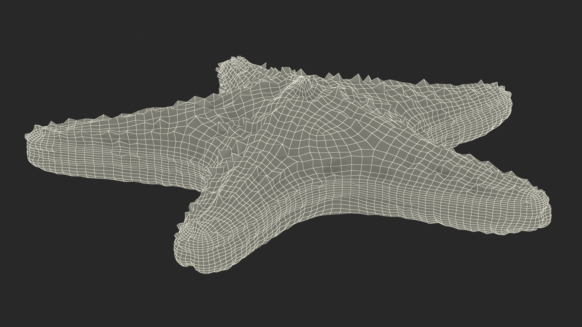 3D Realistic Starfish model