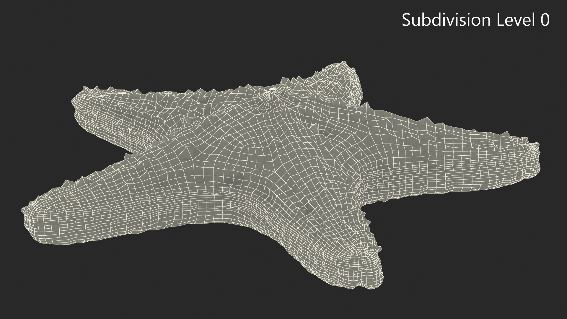 3D Realistic Starfish model