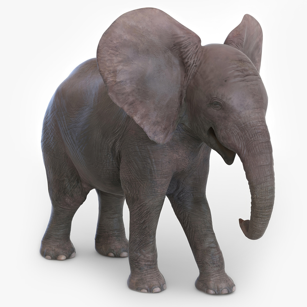 3D model Baby Elephant Rigged