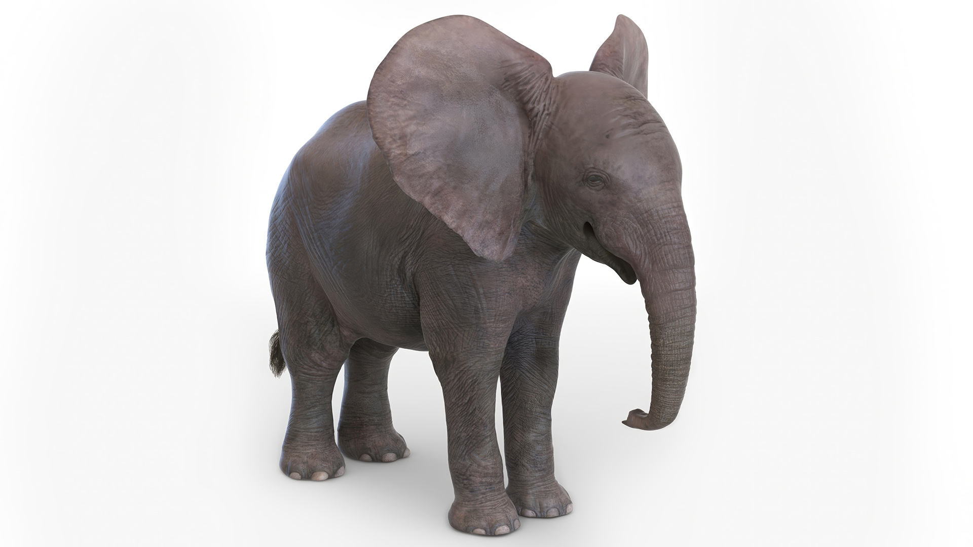 3D model Baby Elephant Rigged