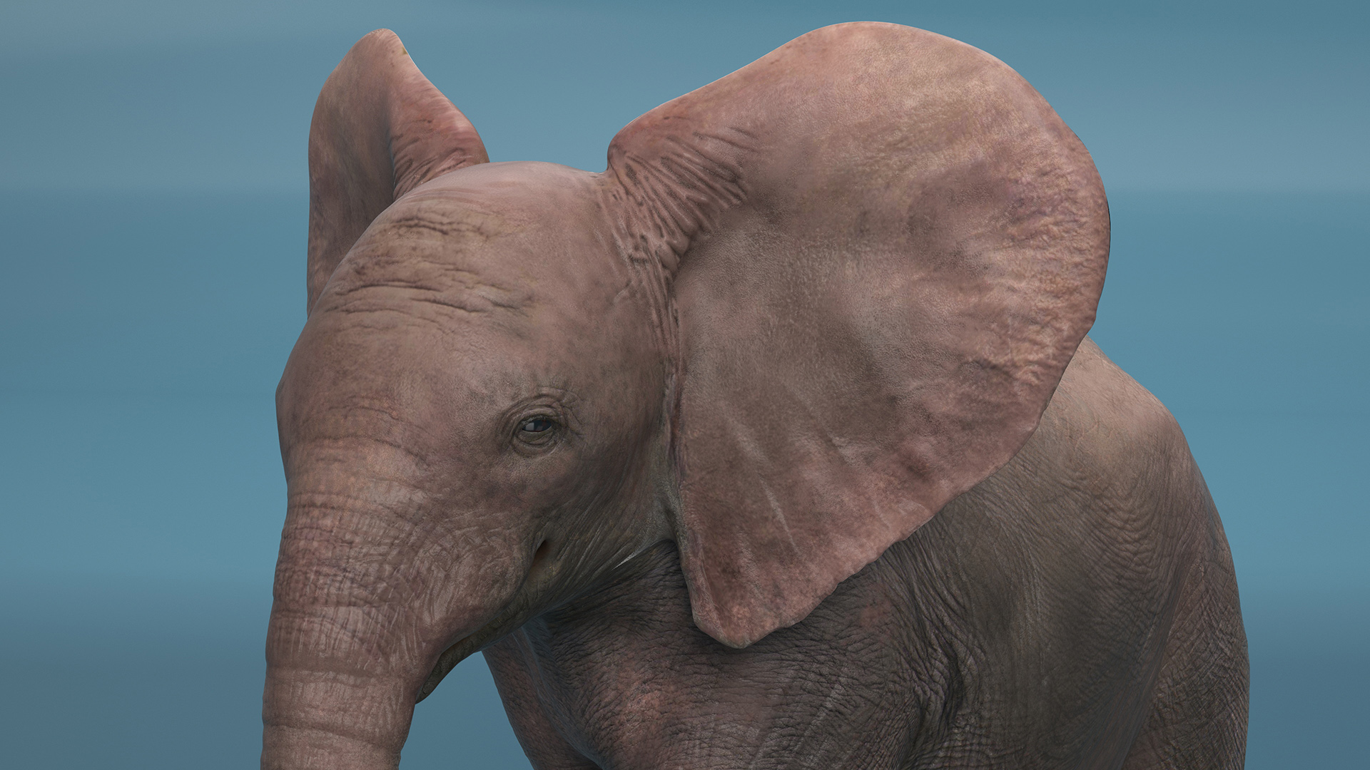 3D model Baby Elephant Rigged