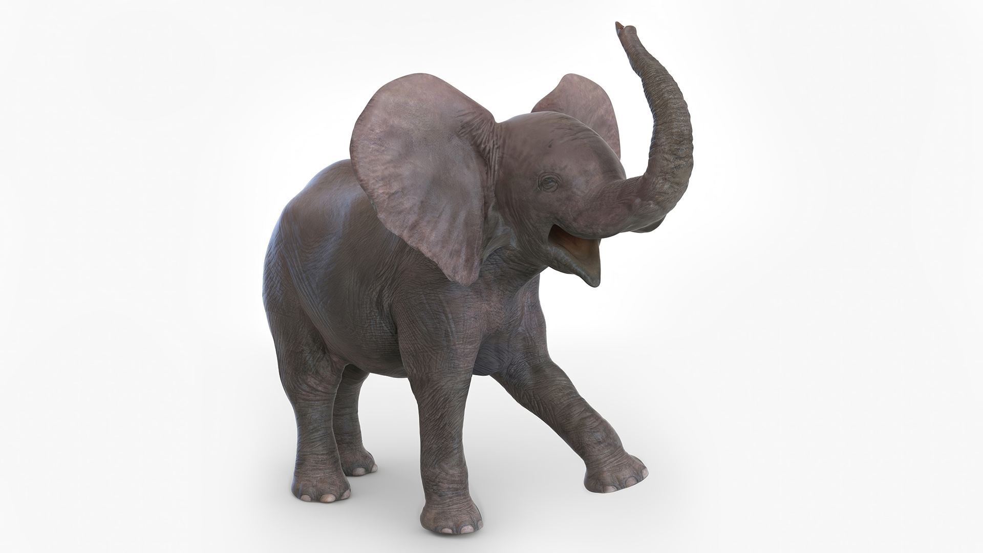 3D model Baby Elephant Rigged
