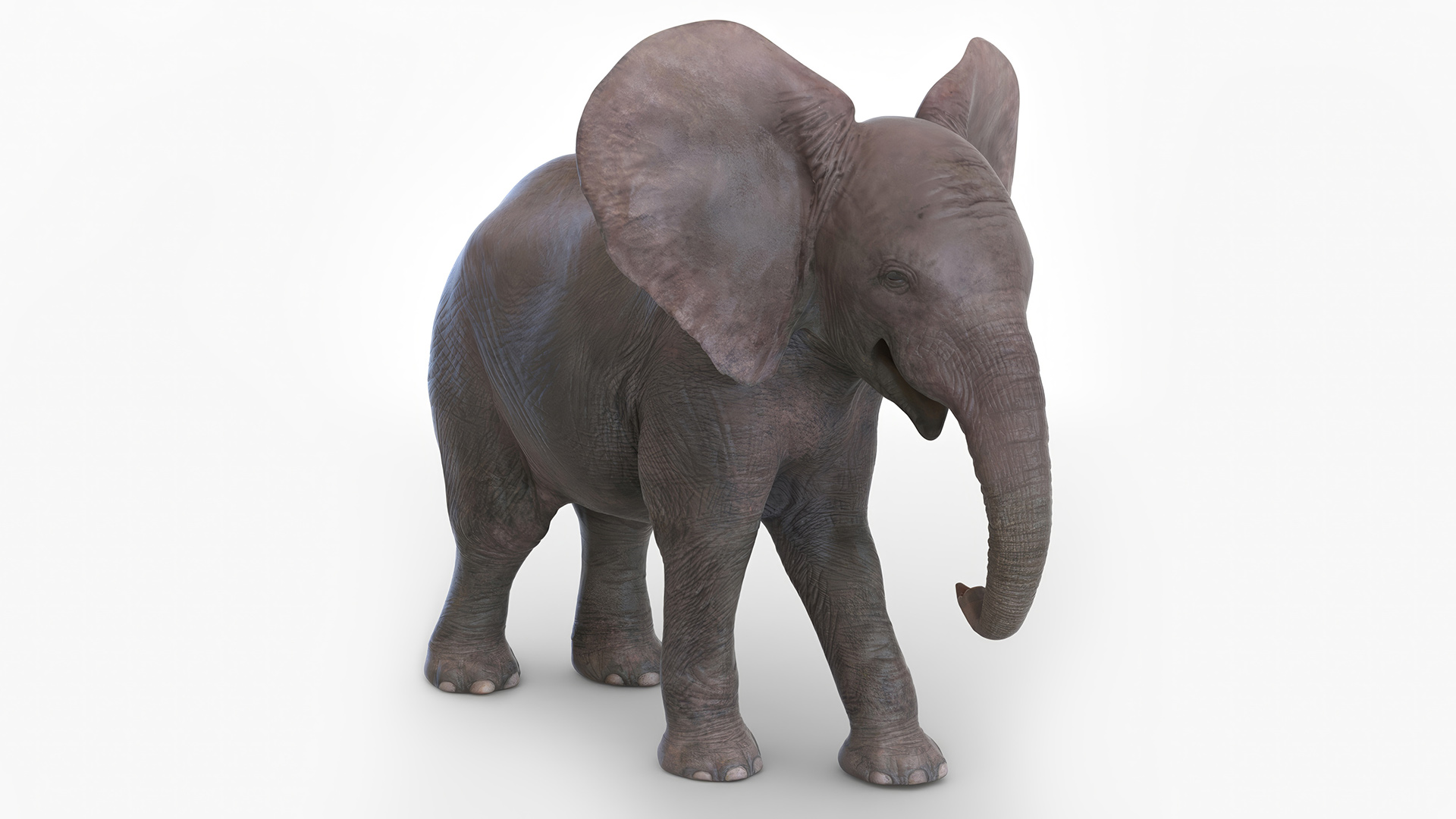 3D model Baby Elephant Rigged