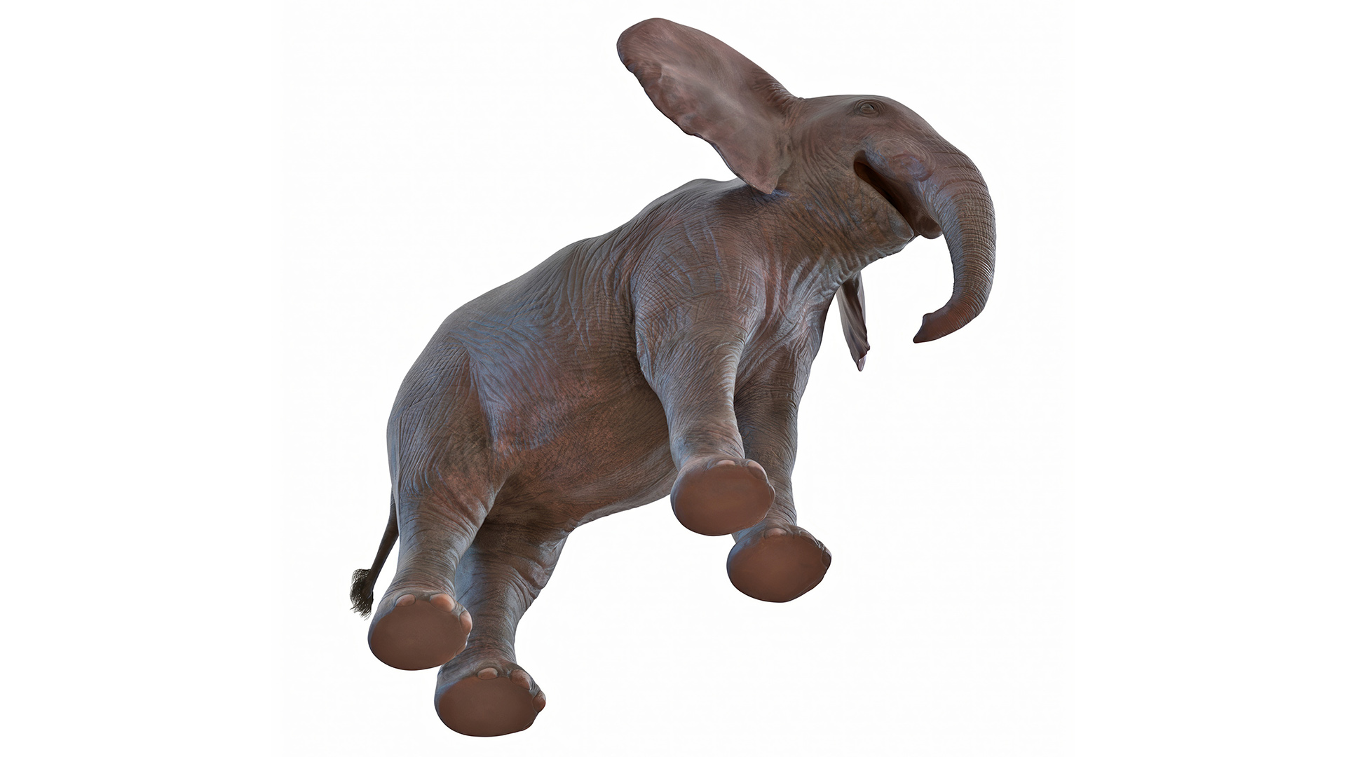 3D model Baby Elephant Rigged