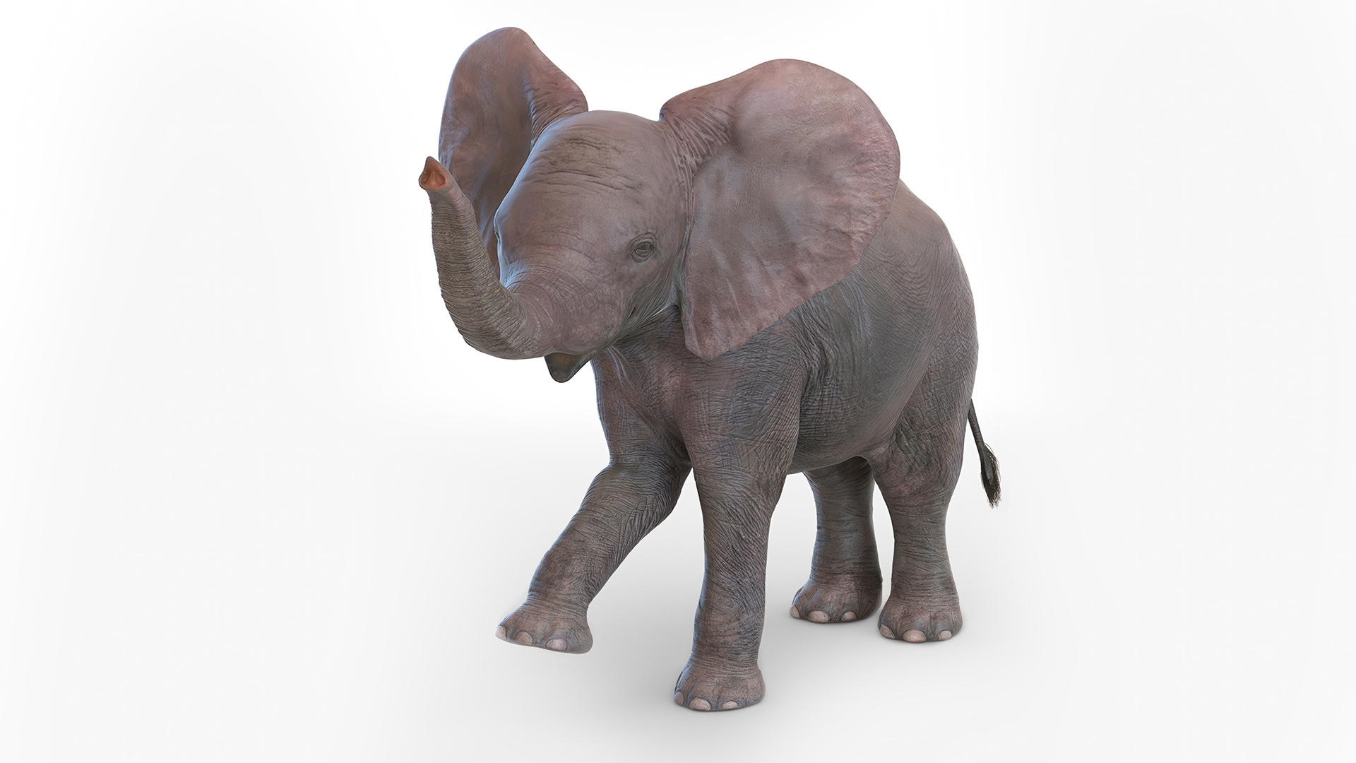 3D model Baby Elephant Rigged
