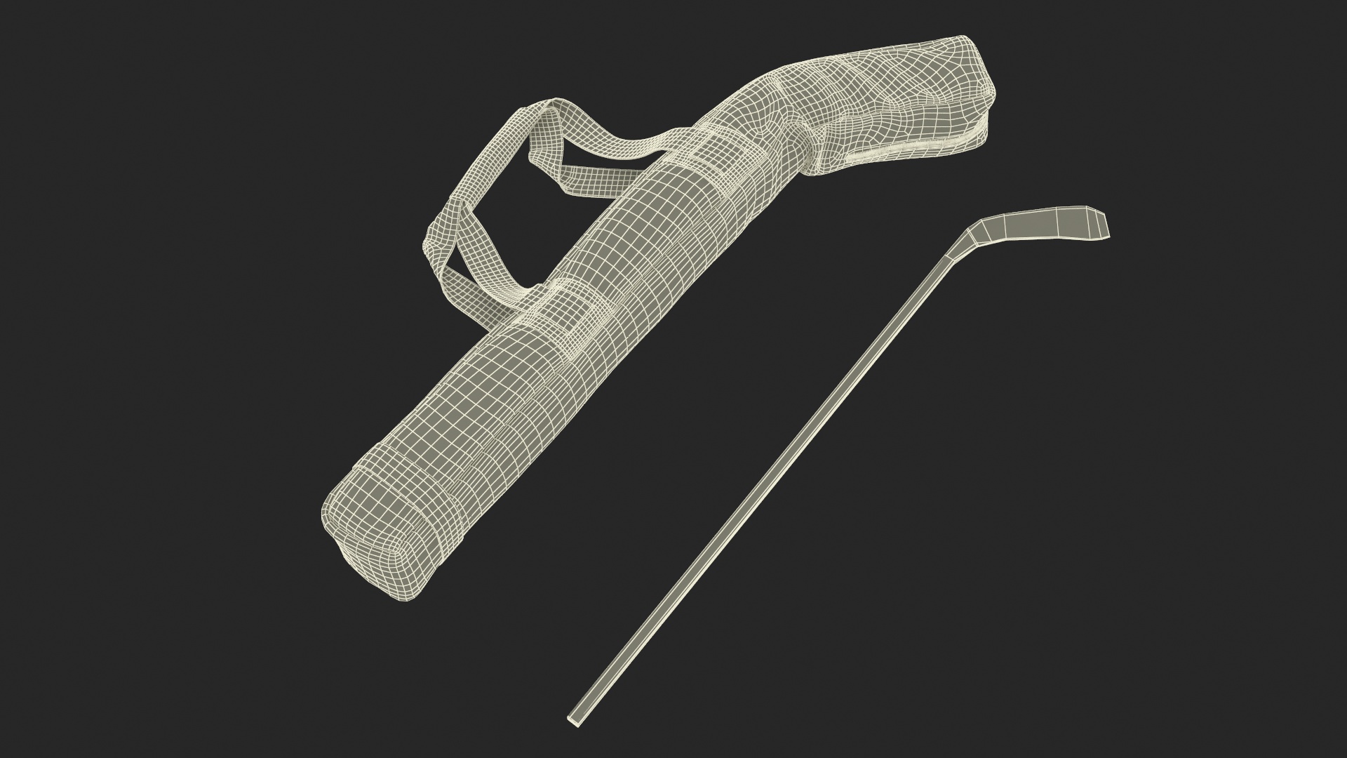 3D Hockey Stick with Bag