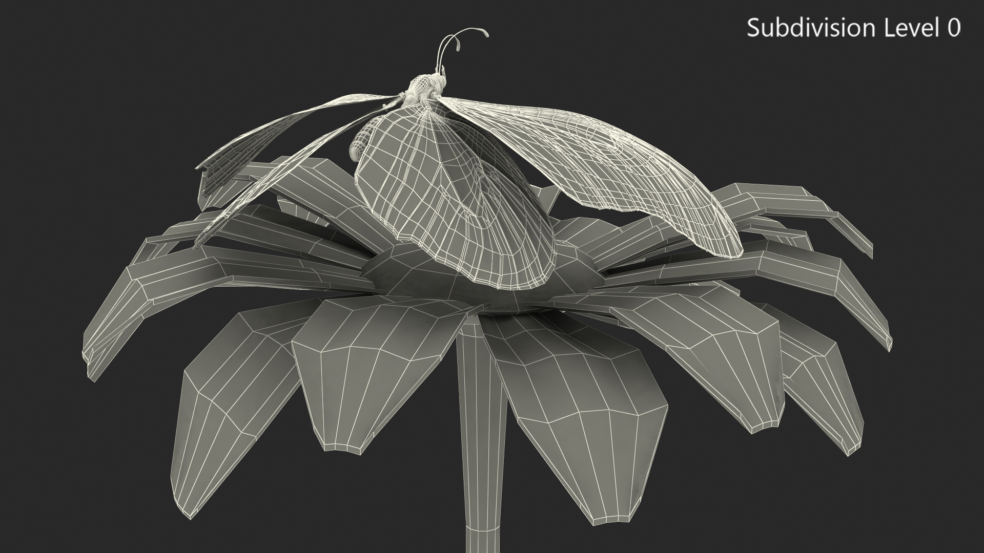 Animated Monarch Butterfly Sits on Swinging Flower Rigged 3D