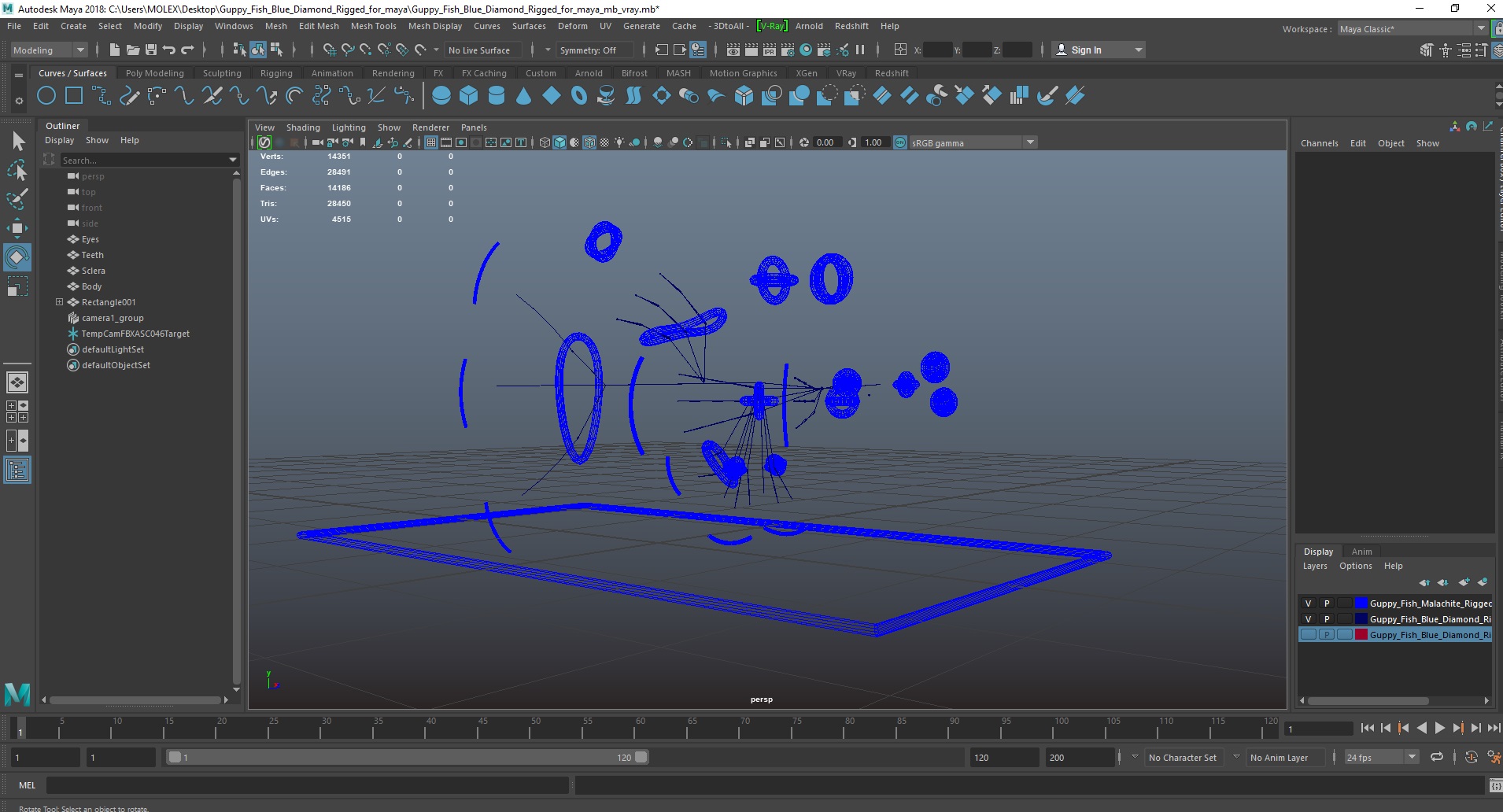 Guppy Fish Blue Diamond Rigged for Maya 3D model