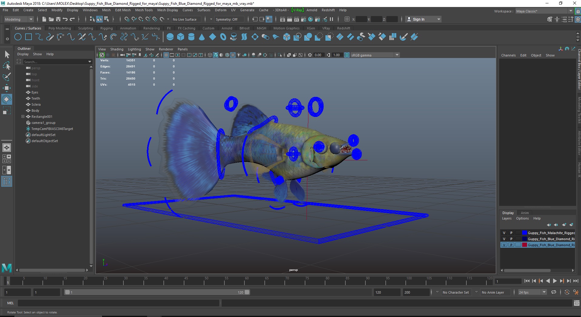 Guppy Fish Blue Diamond Rigged for Maya 3D model