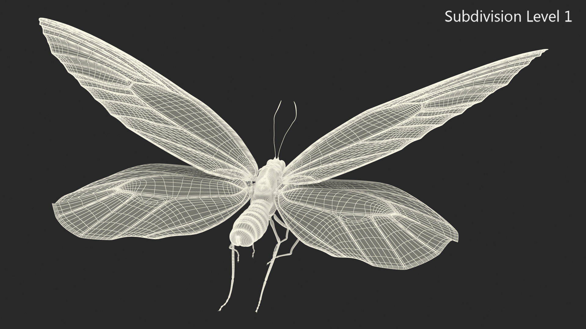 3D Animated Flight Ornithoptera Alexandrae Butterfly Rigged